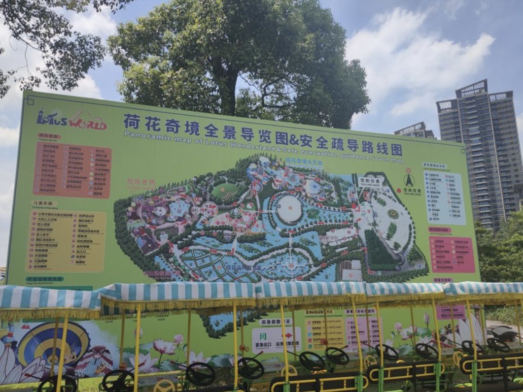 三水荷花世界