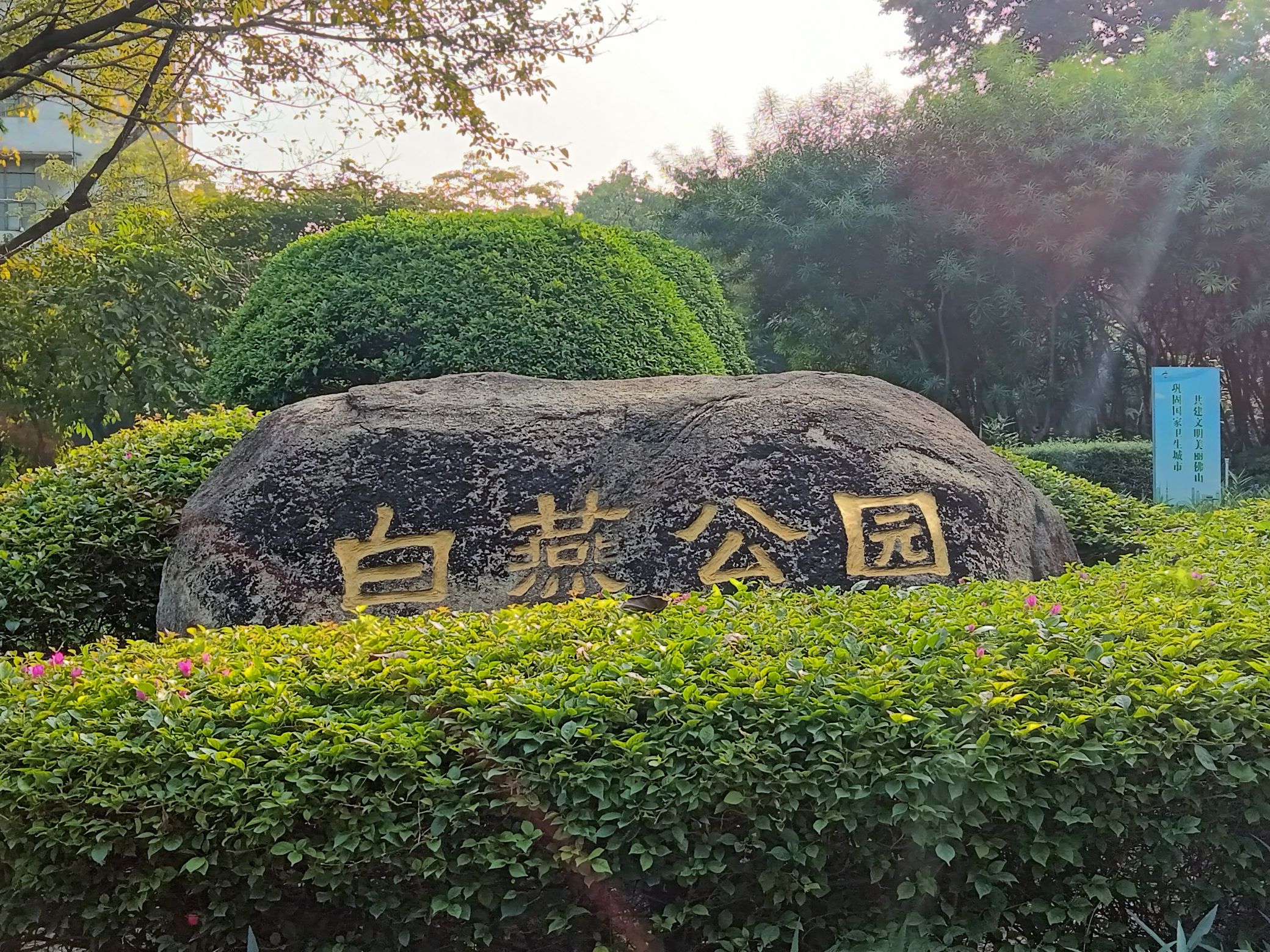 白燕公园旅行图片