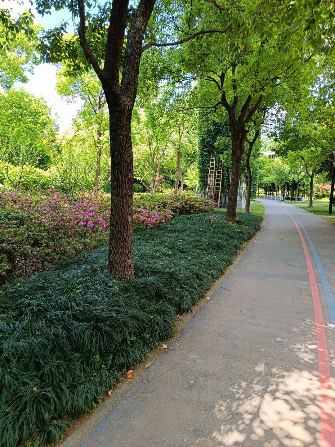南浦公园旅行图片