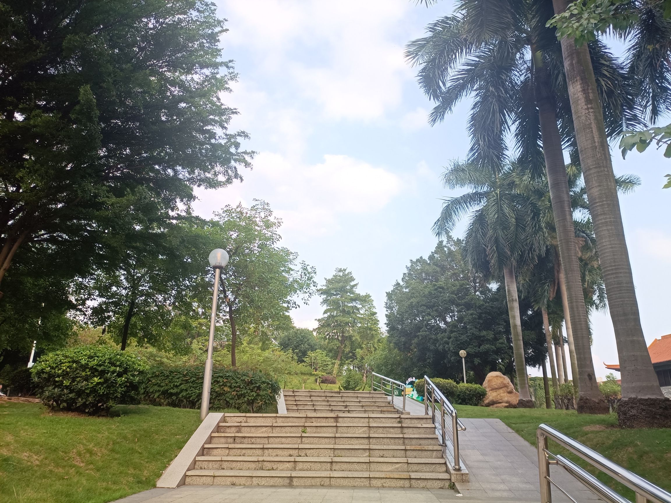 小雾岗公园旅行图片