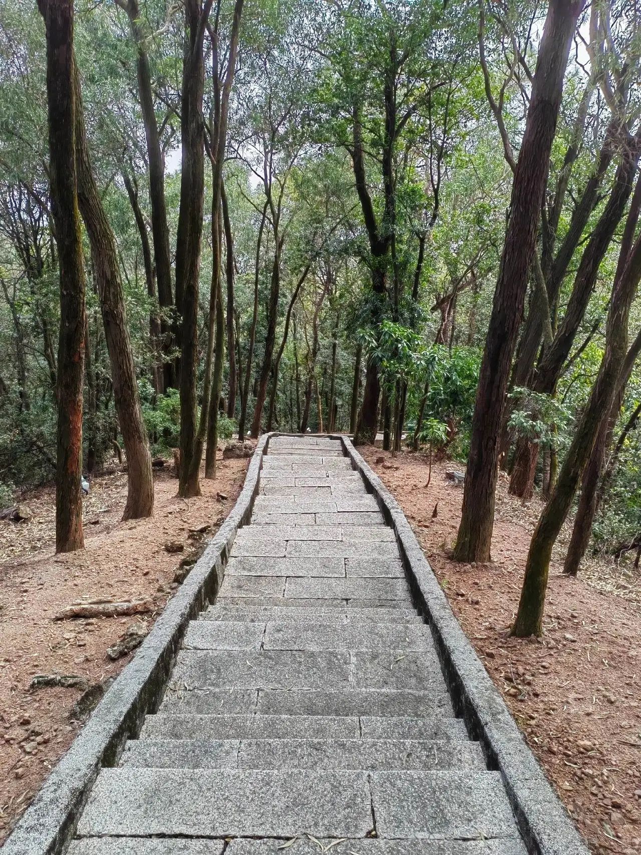 西樵山风景名胜区
