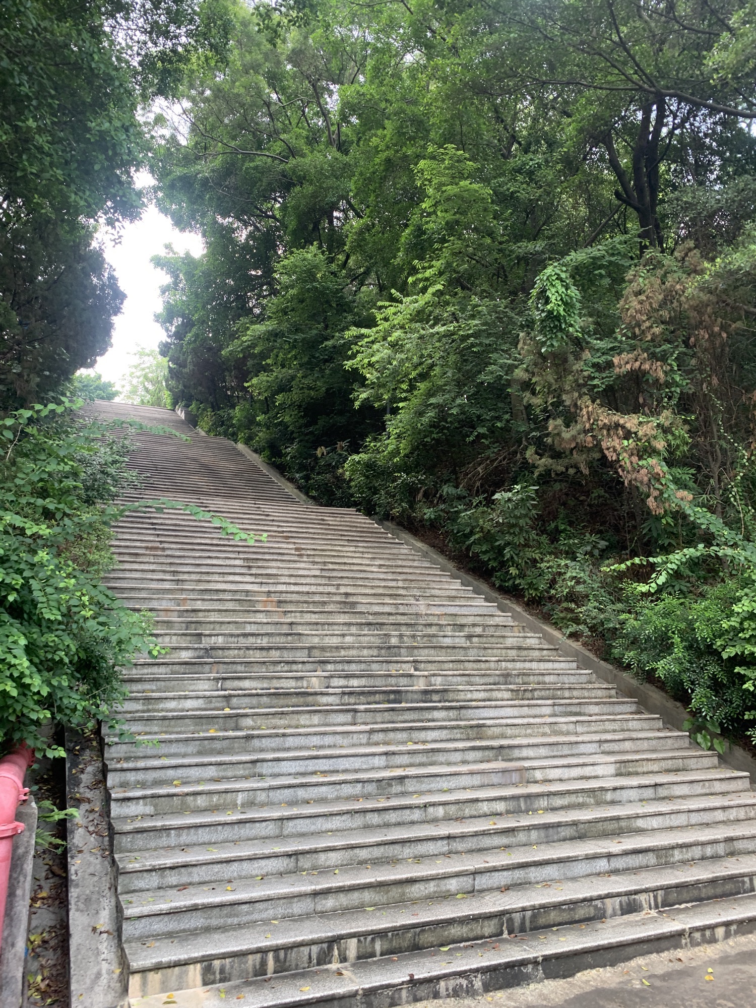 凤岭公园
