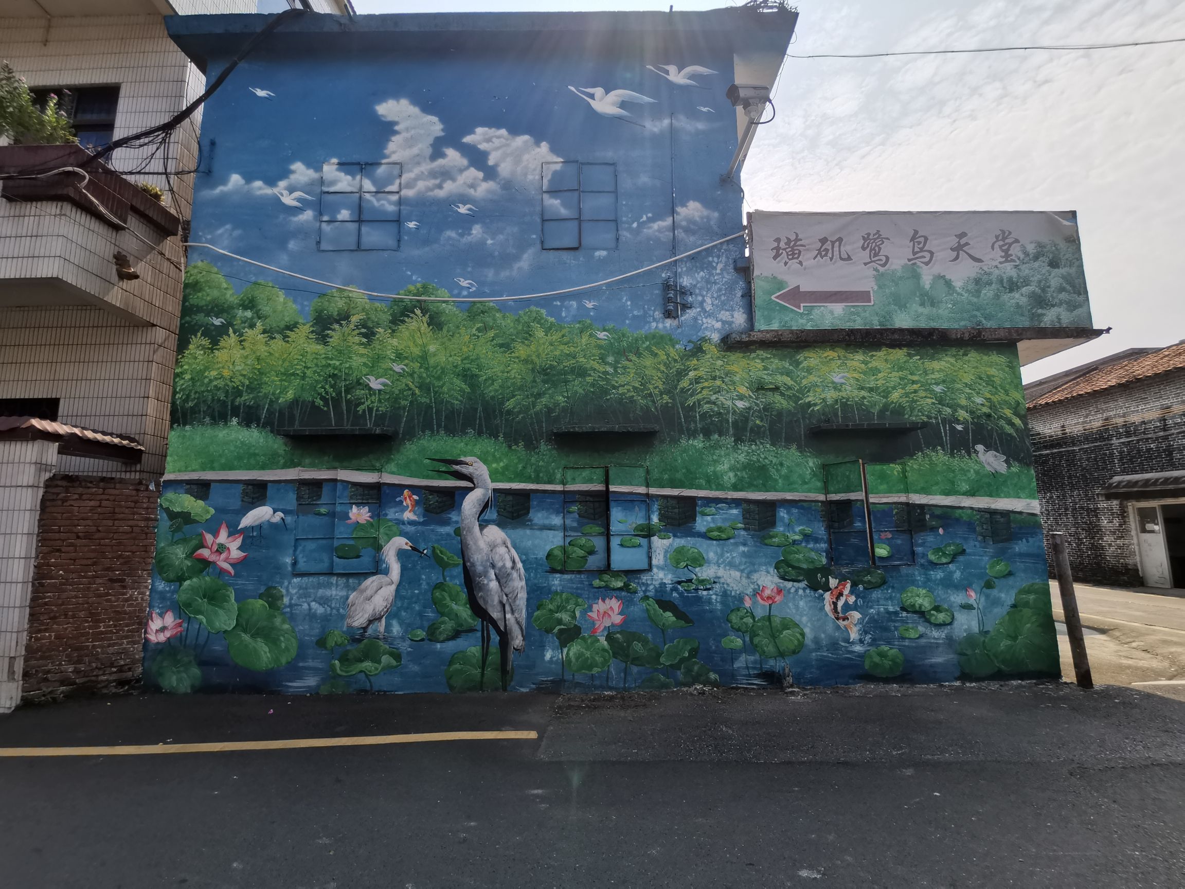 璜矶鹭鸟天堂旅行图片