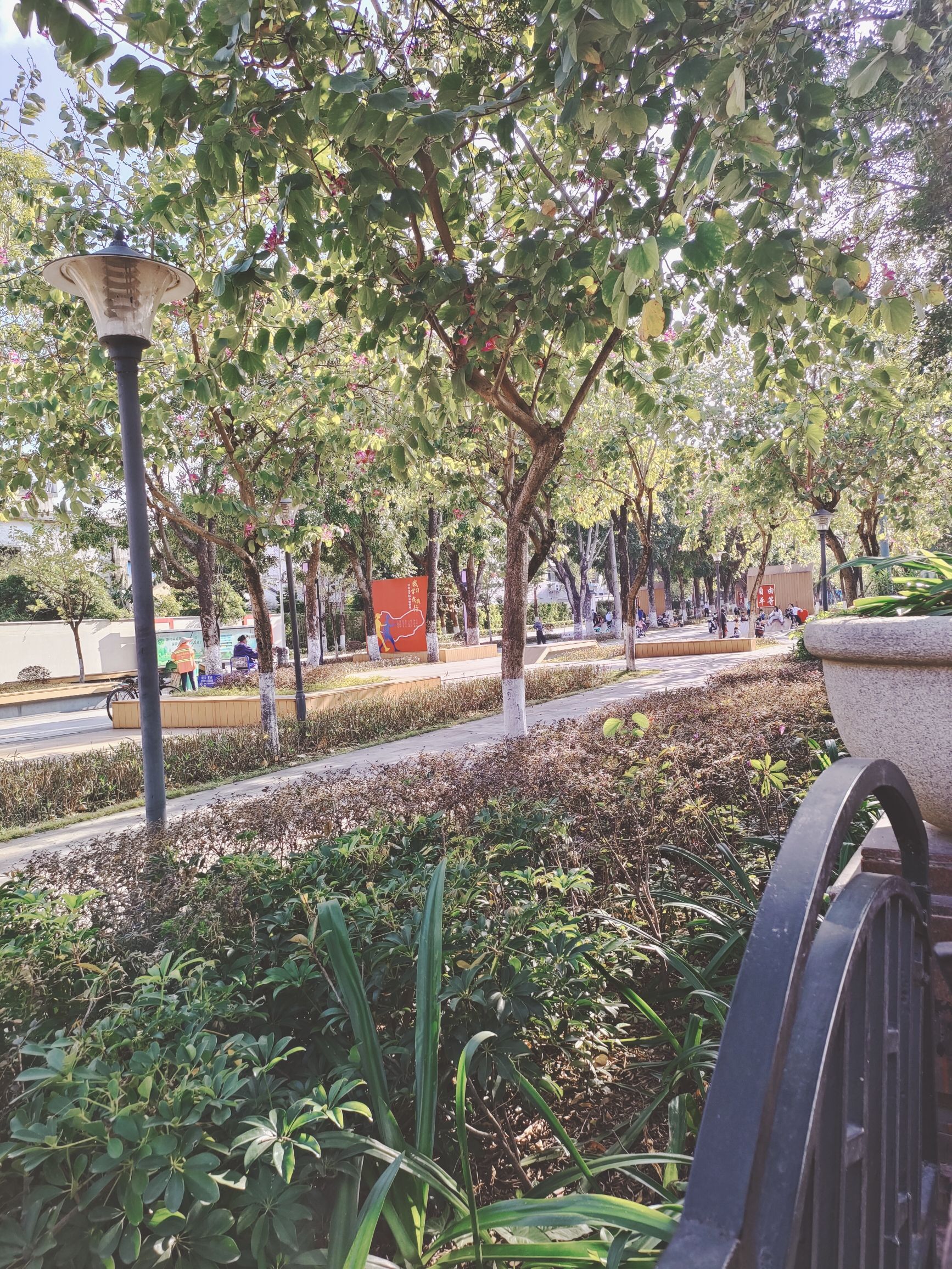 花溪公园旅行图片