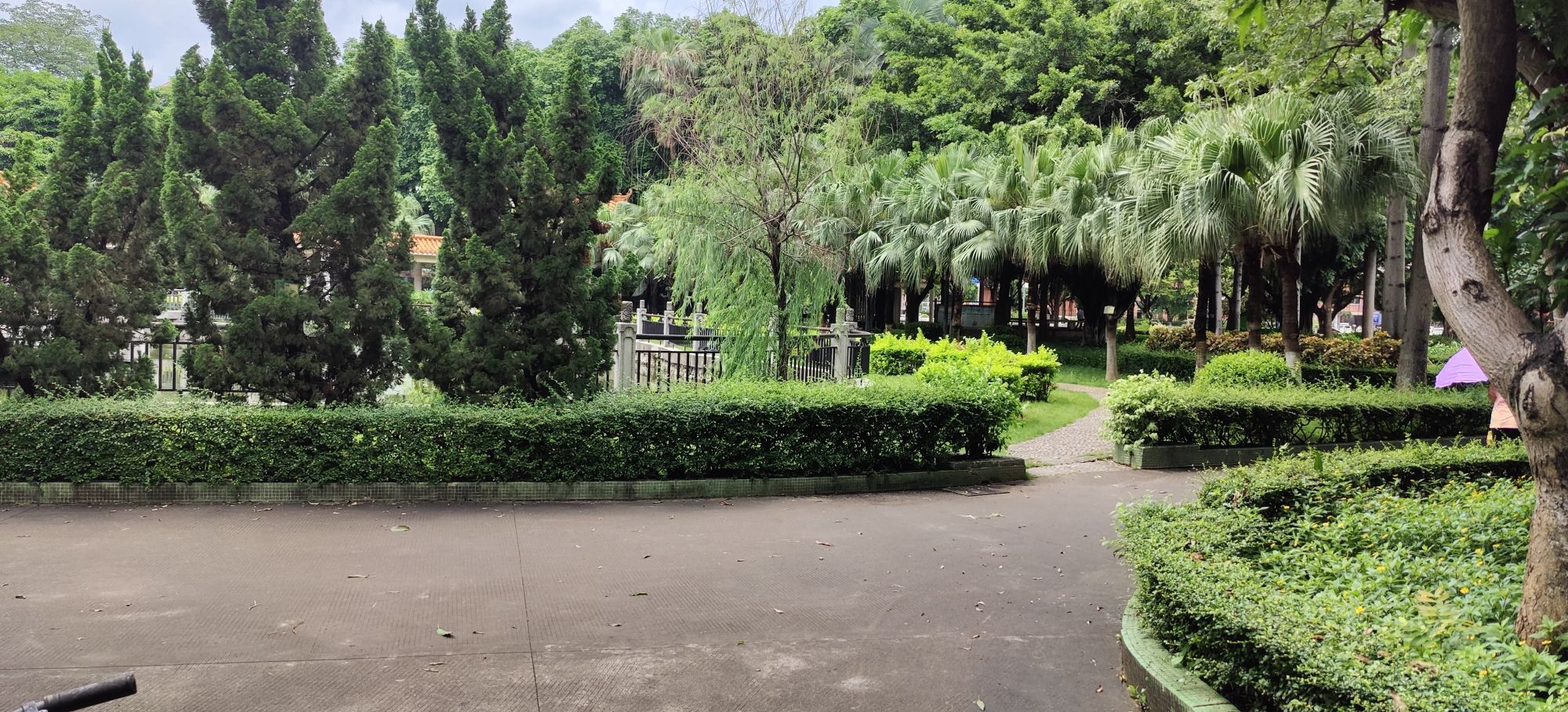 容里公园旅行图片