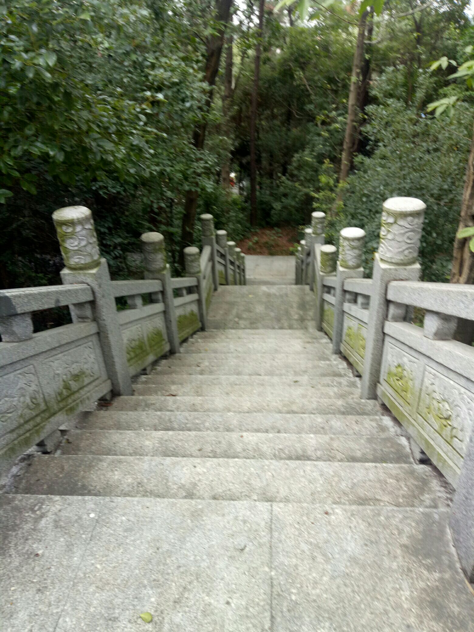 朝山公园