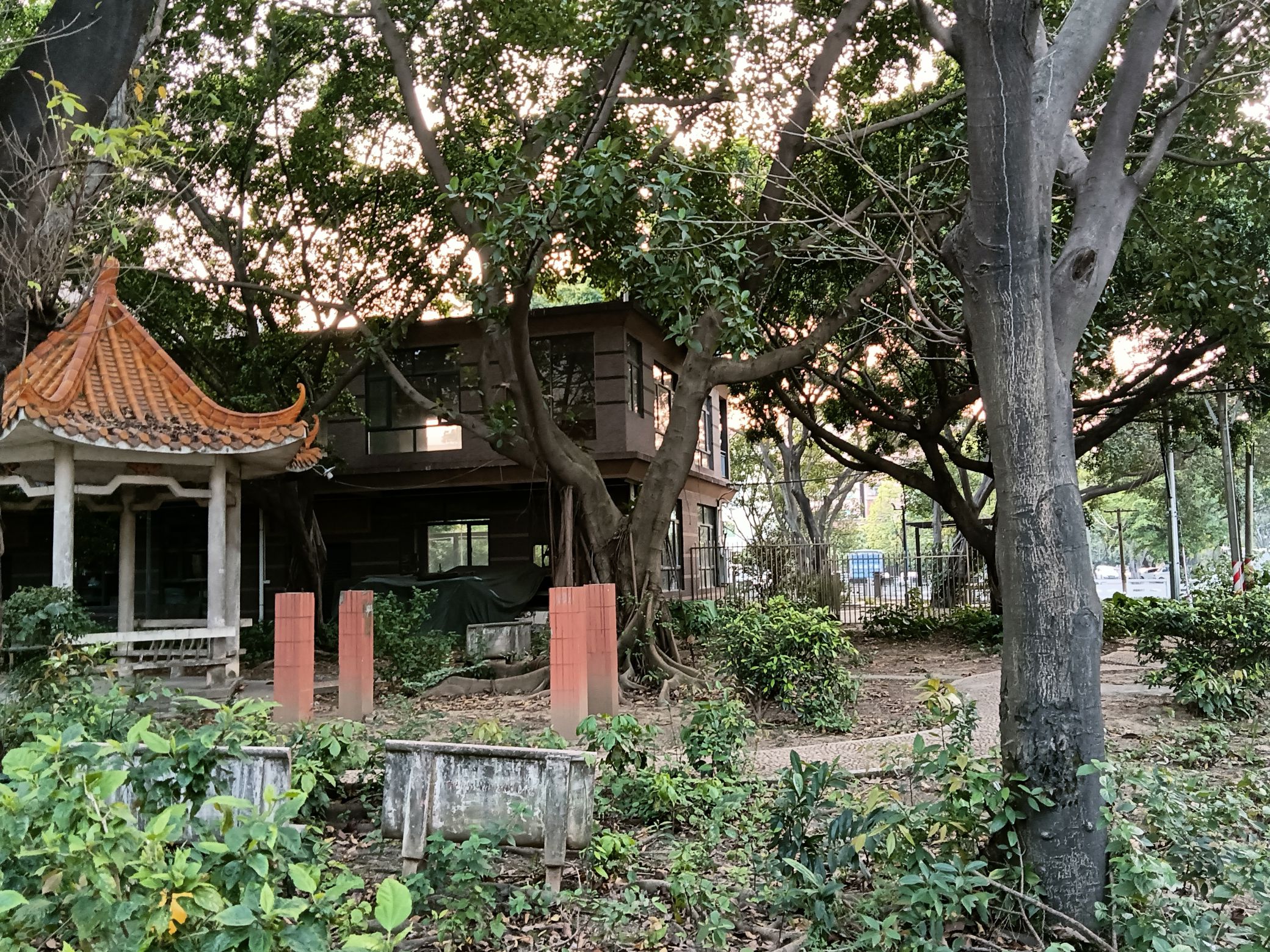 东兴公园