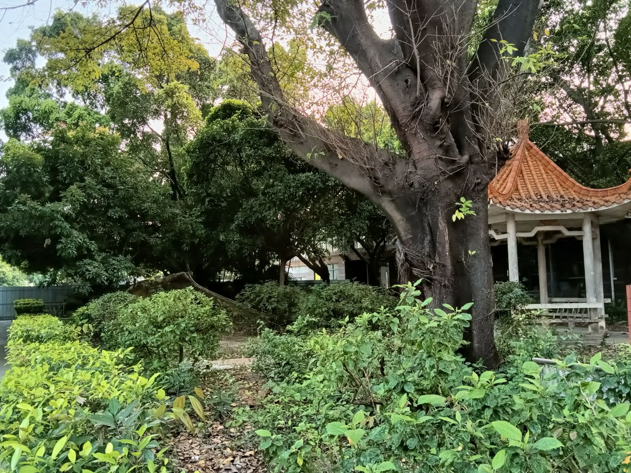 东兴公园旅行图片