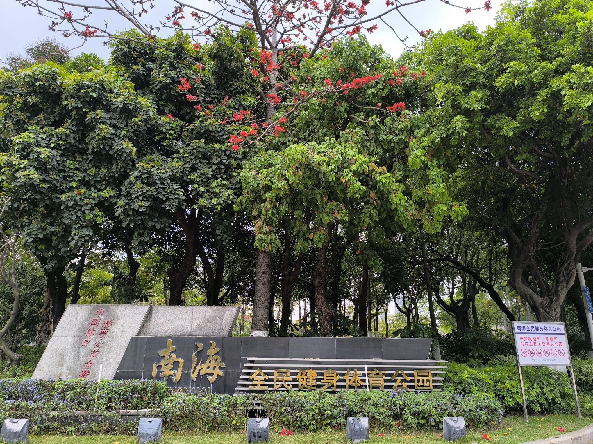 南海全民健身体育公园旅行图片