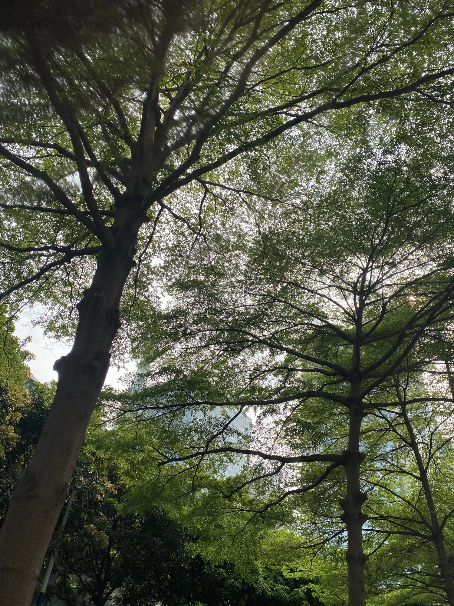 盐步公园