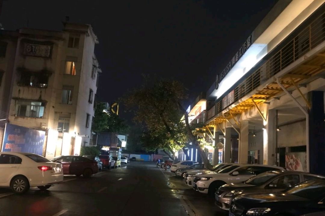 大沥公园旅行图片