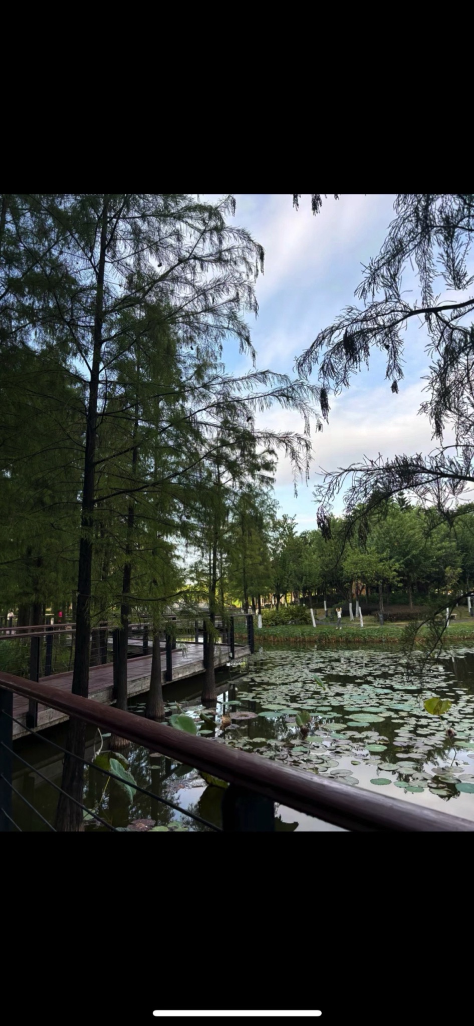 映月湖公园旅行图片