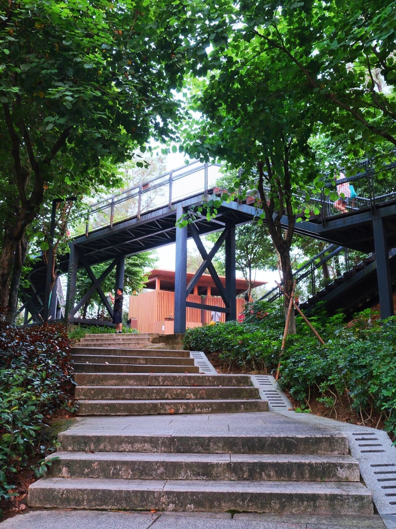 三山森林公园旅行图片