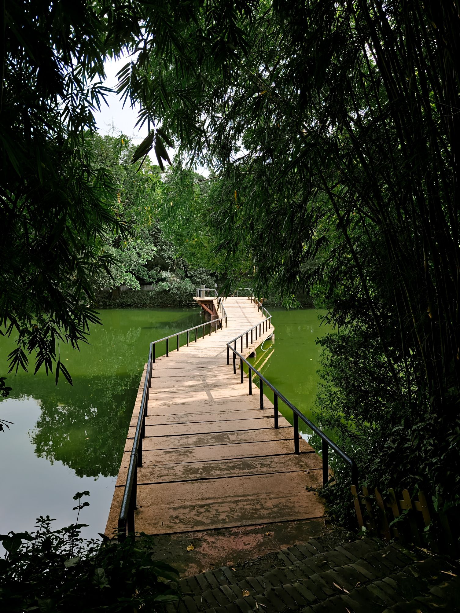 佛山公园旅行图片