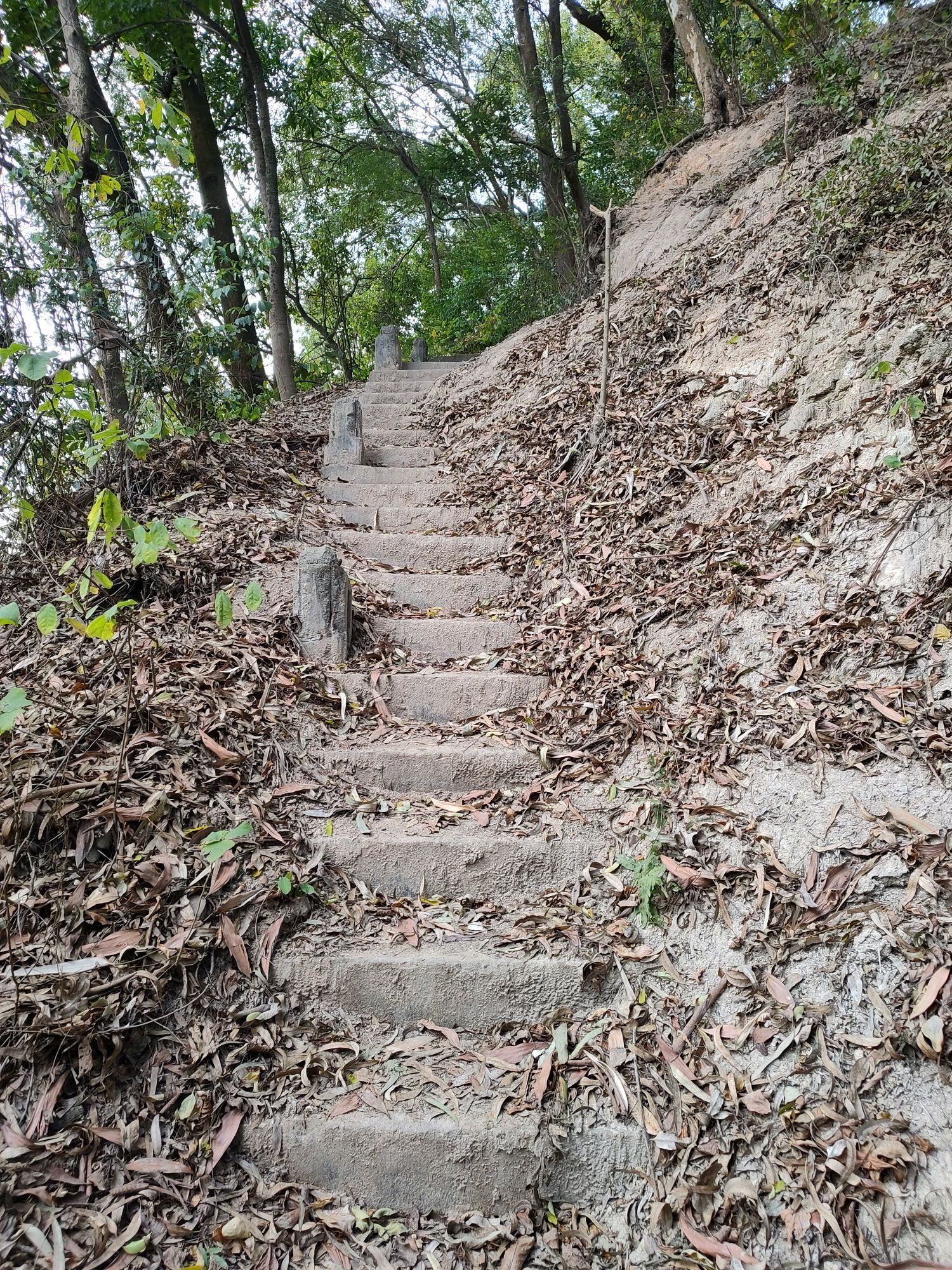 龙华苑