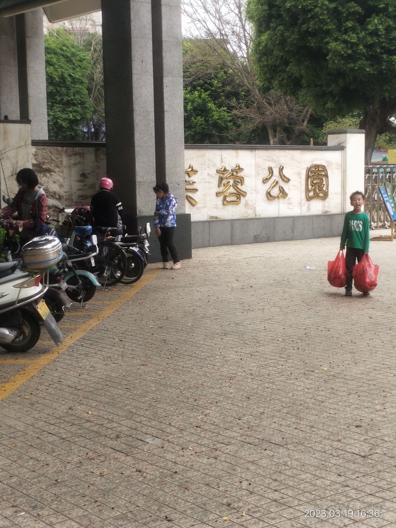 芙蓉公园