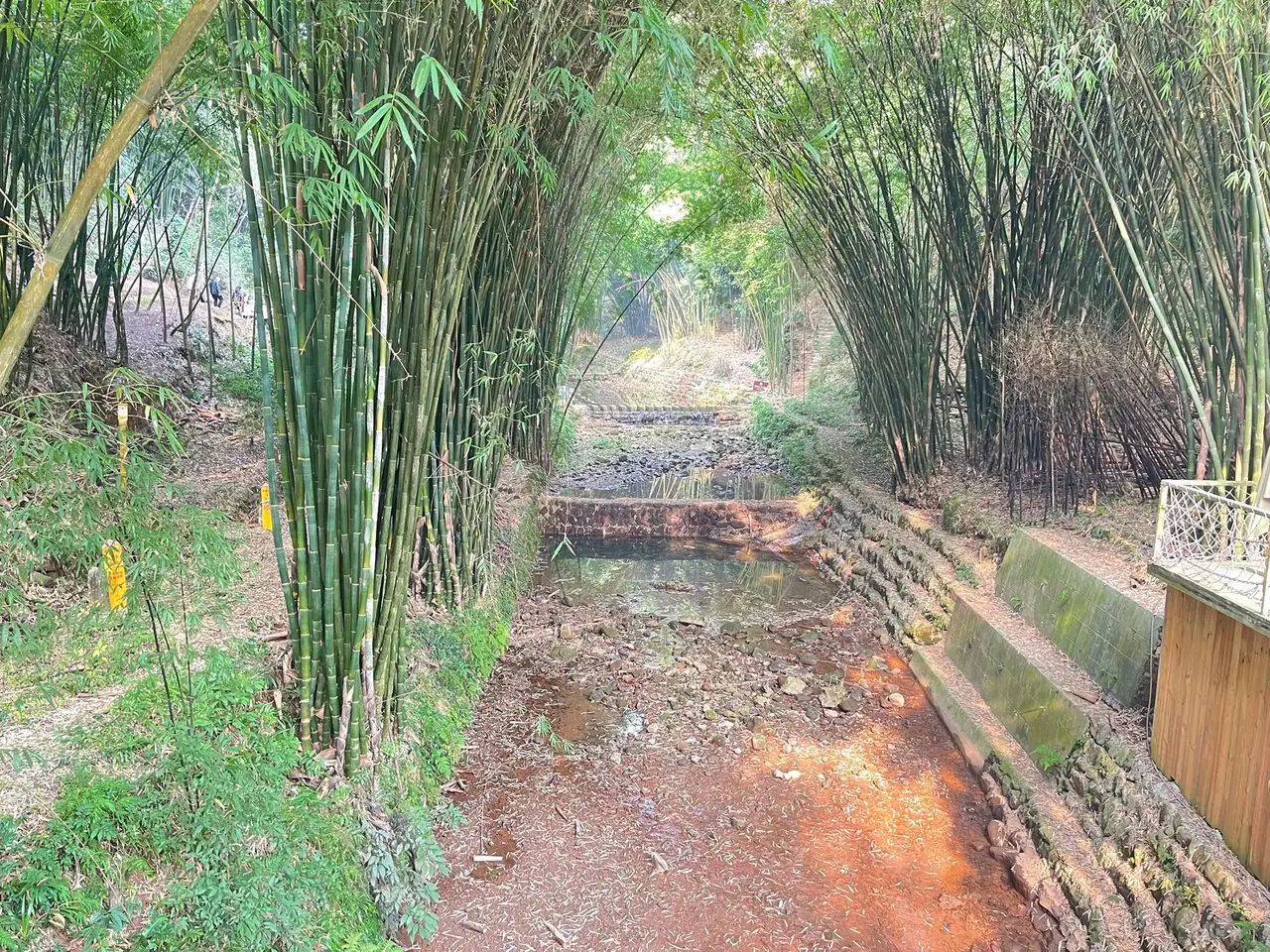 绥江竹海生态旅游景区