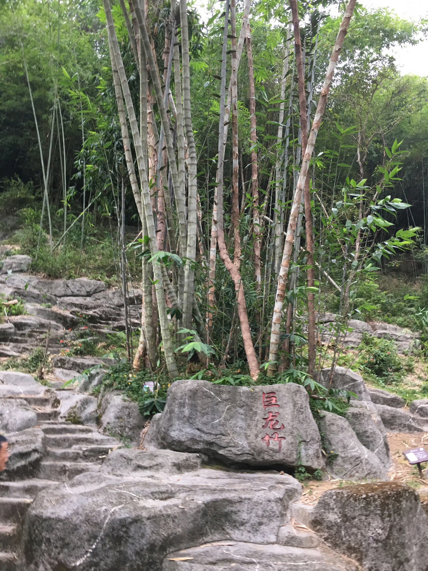宝锭山风景区