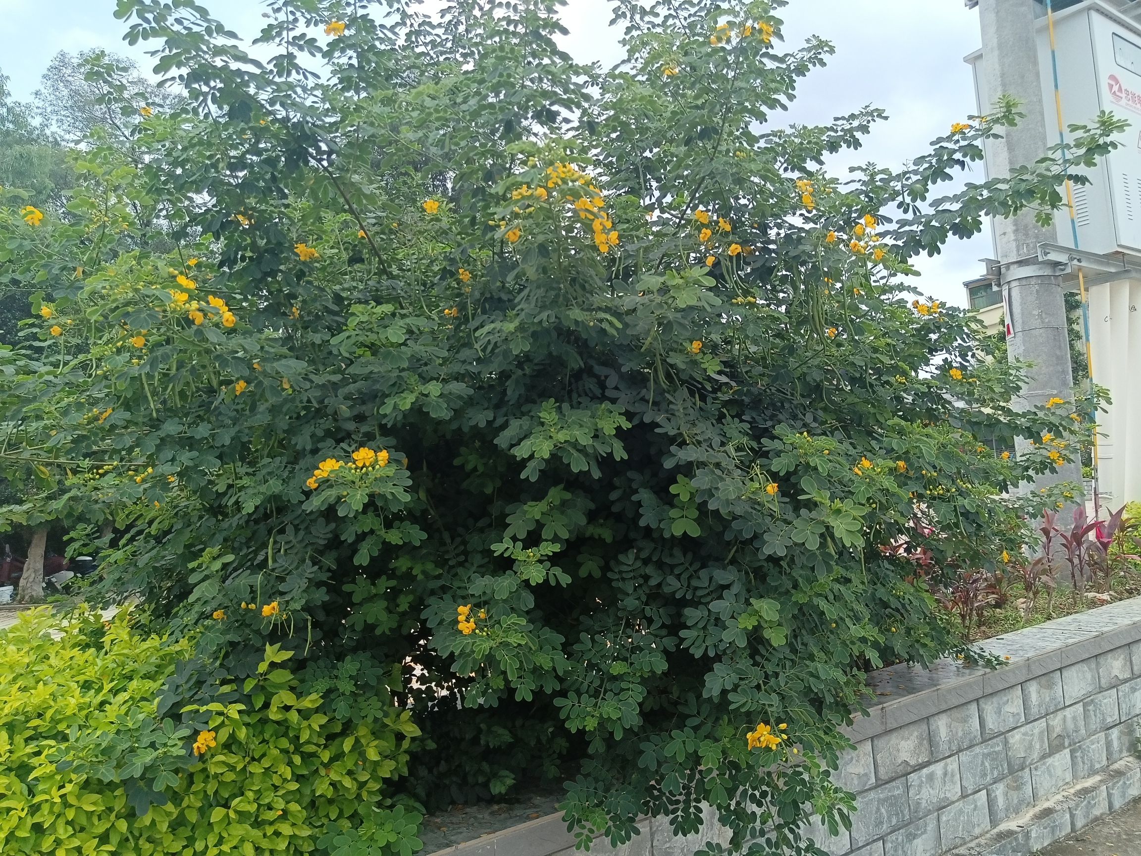 塔山文化公园旅行图片