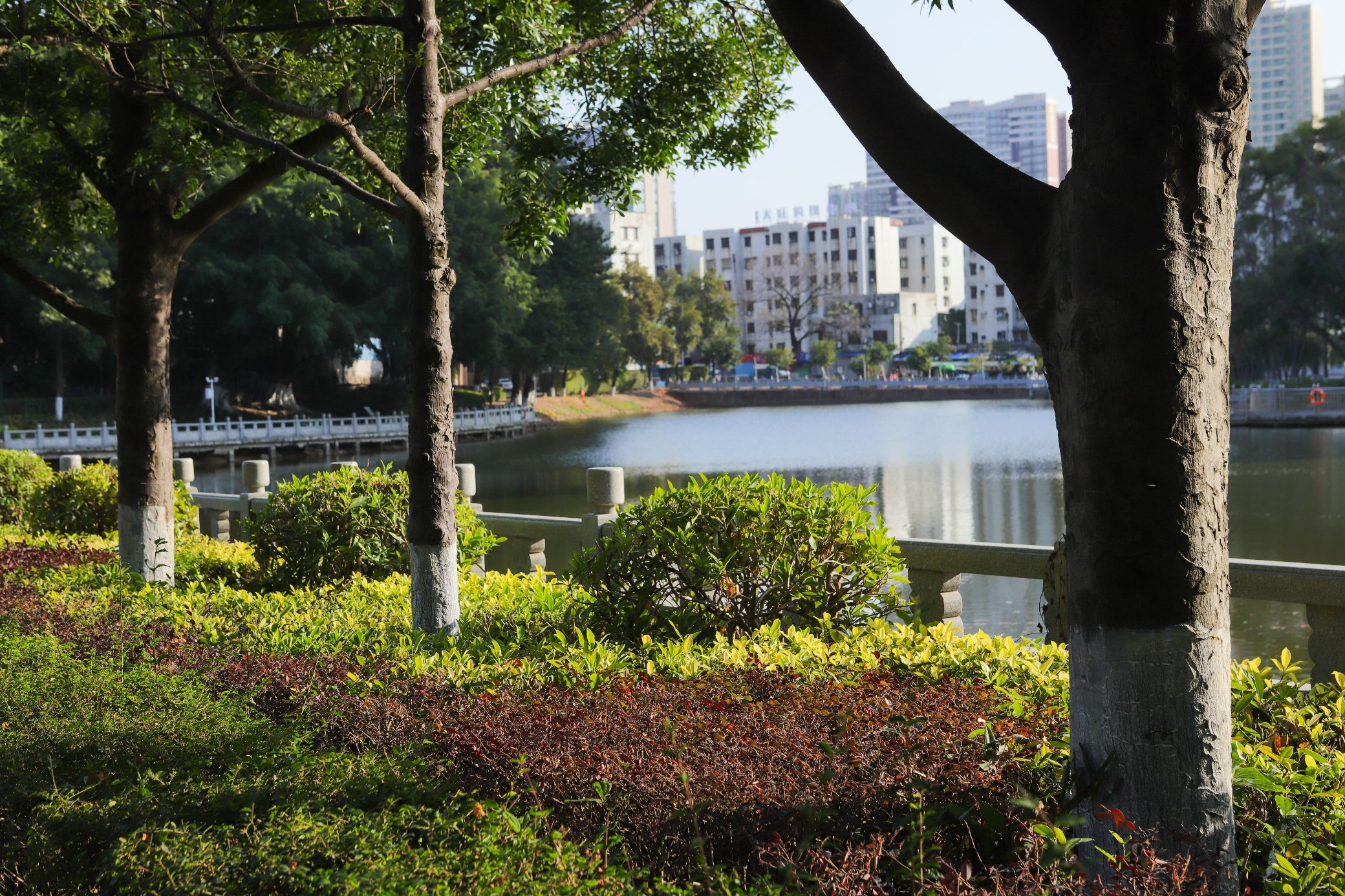 大旺公园