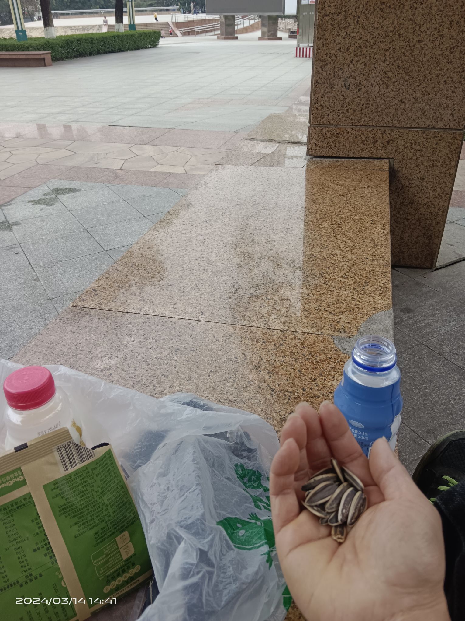 大旺公园旅行图片