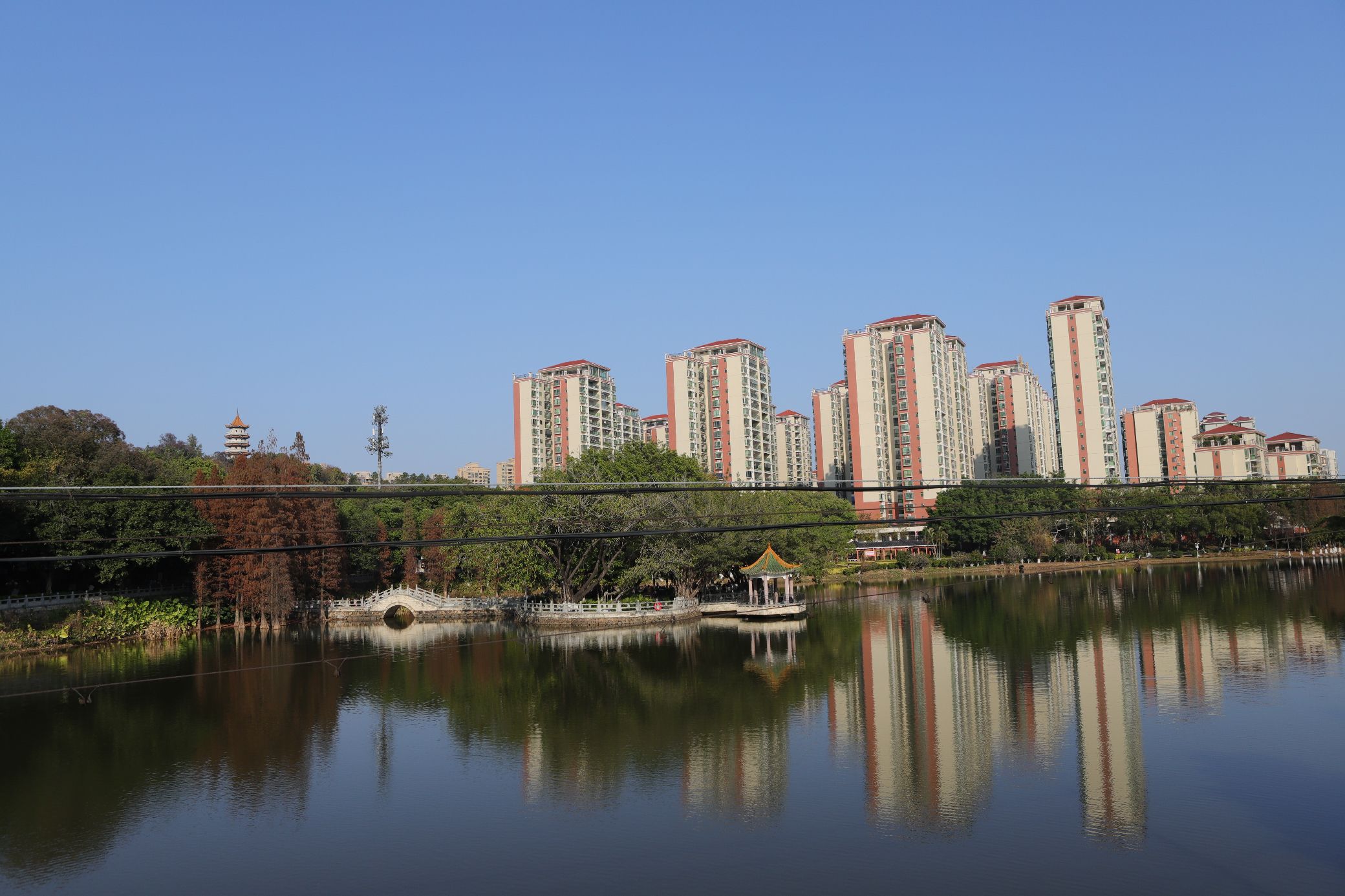 大旺公园旅行图片