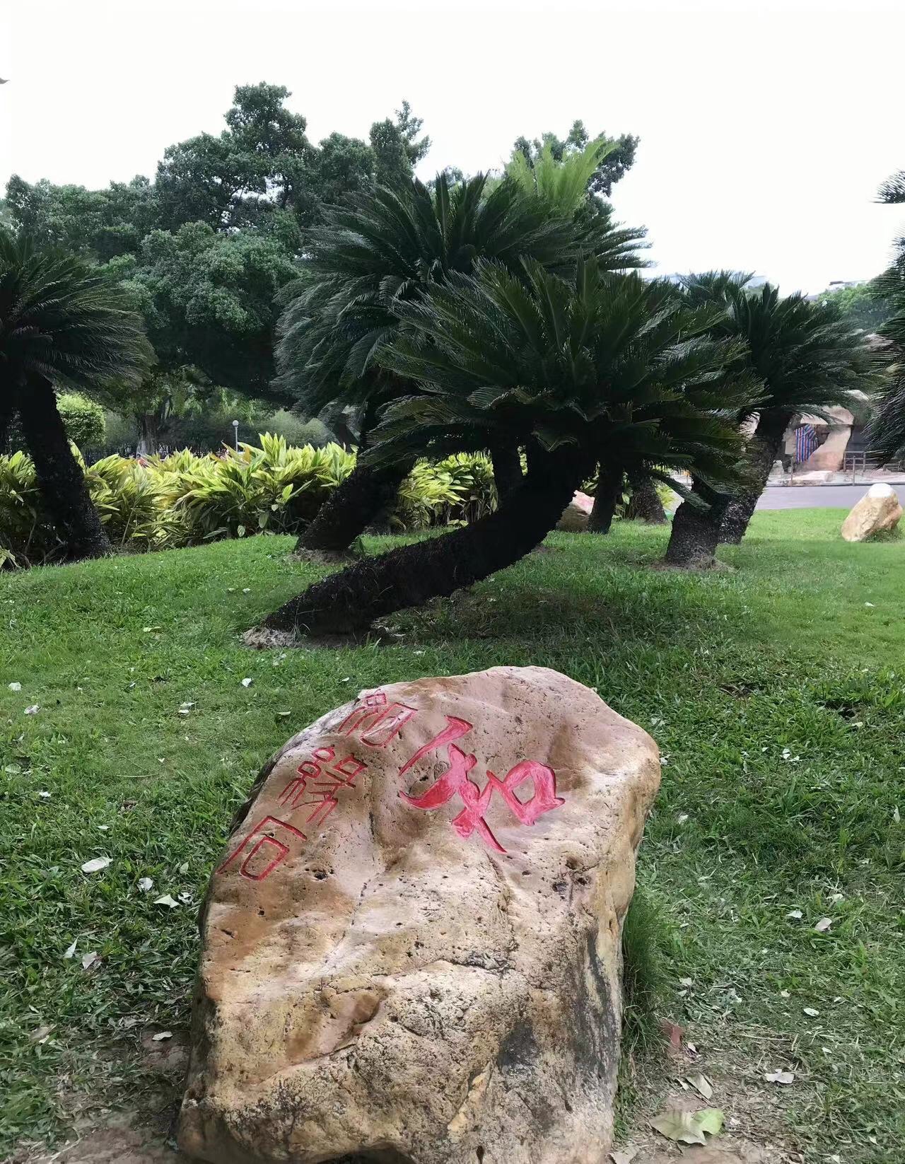 城东公园
