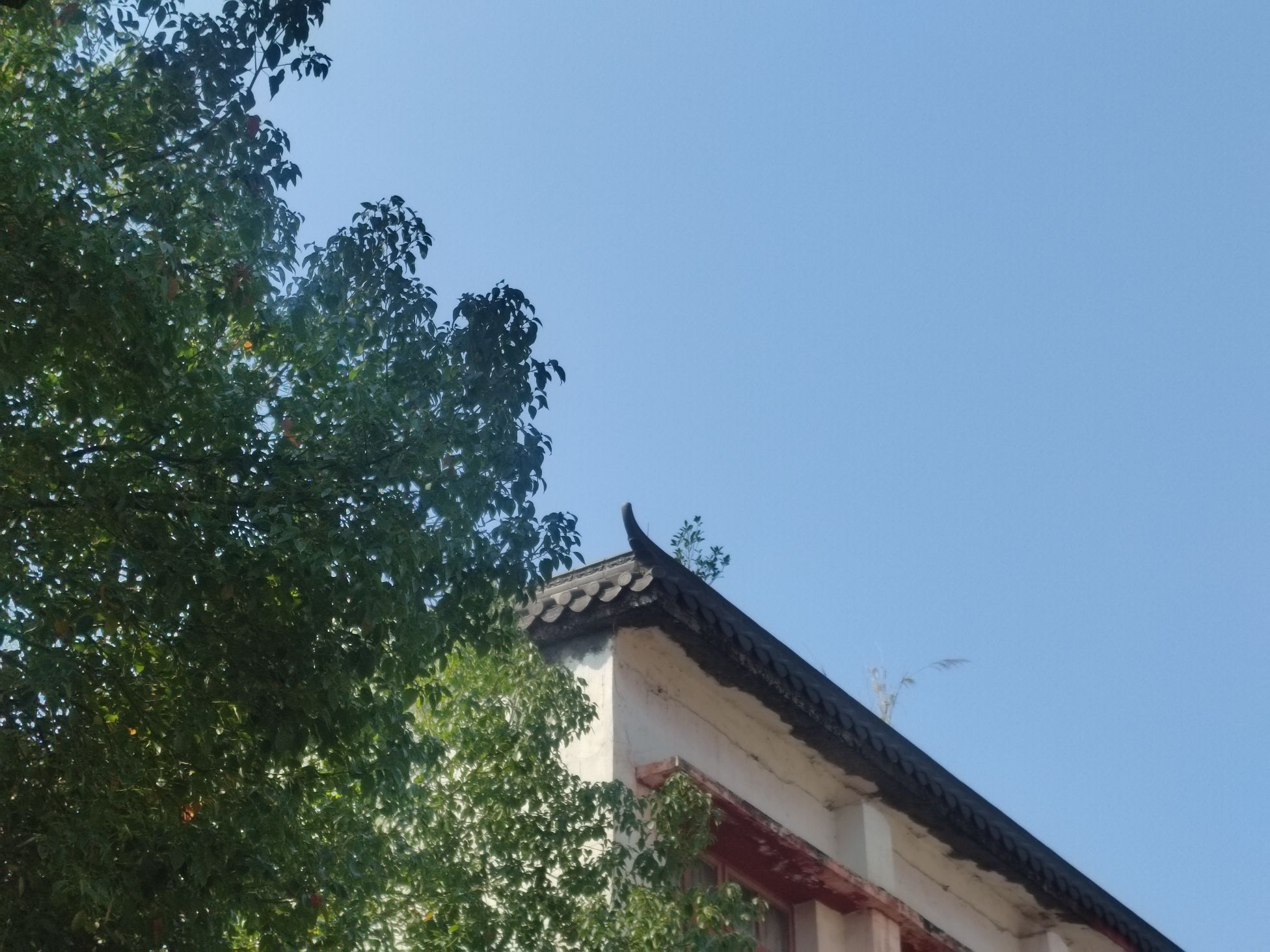 德庆学宫