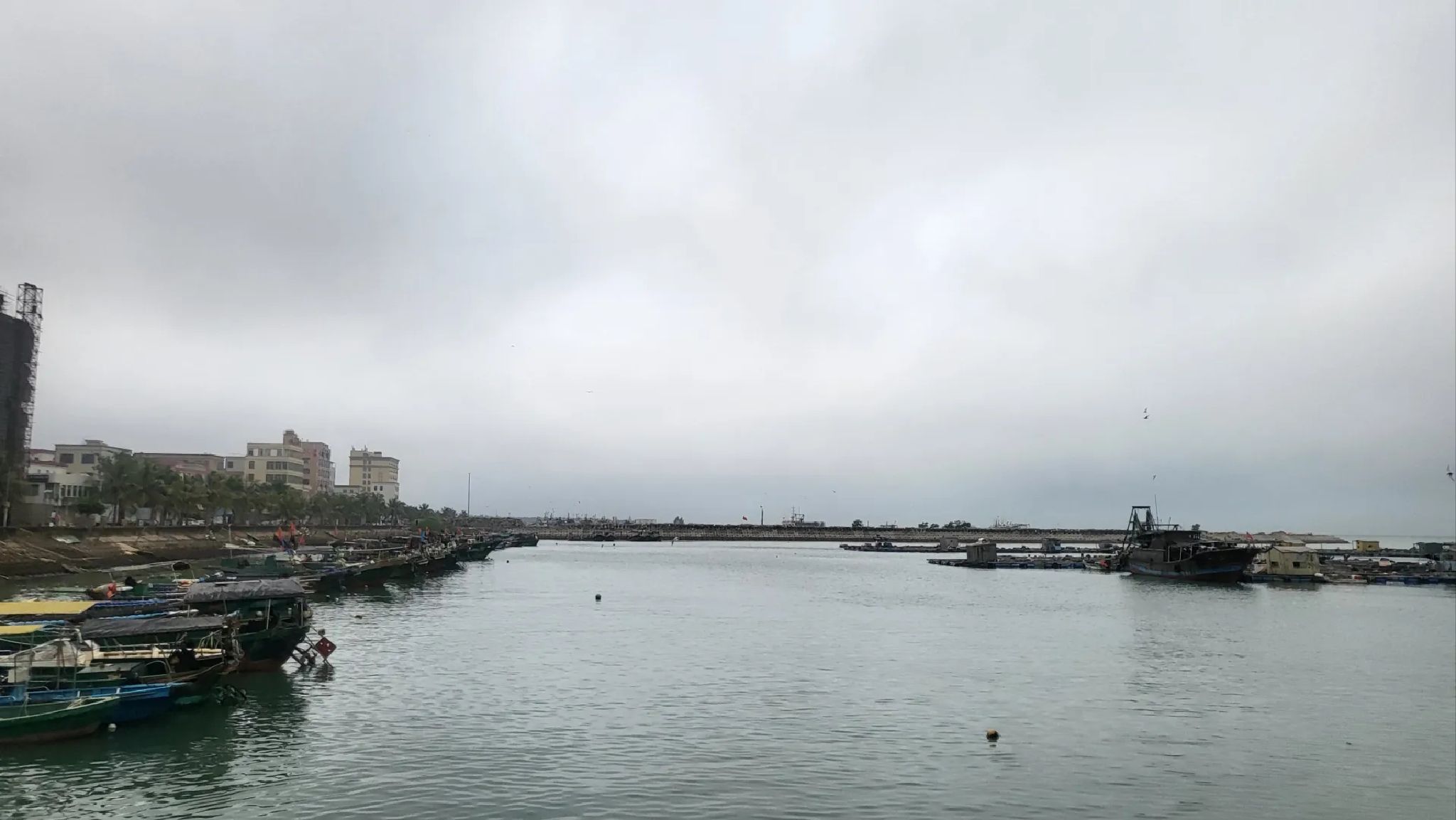 硇洲岛旅游区旅行图片