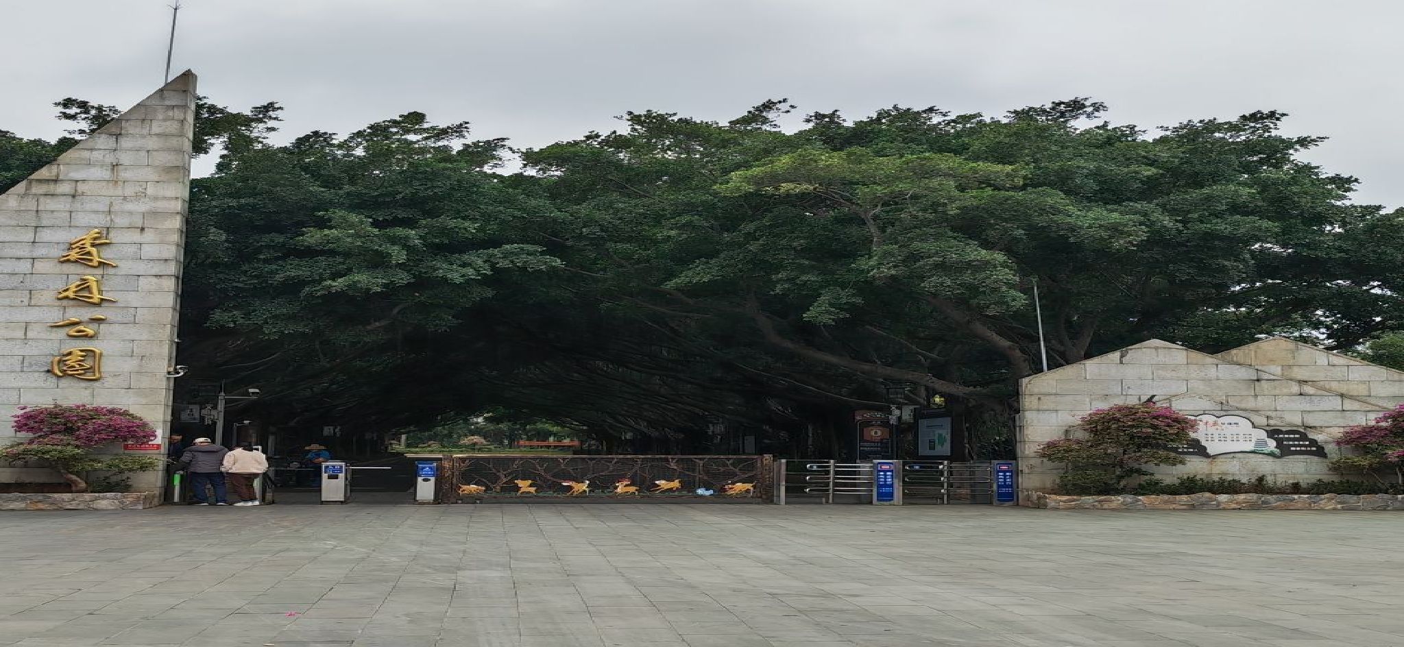 湛江市森林公园