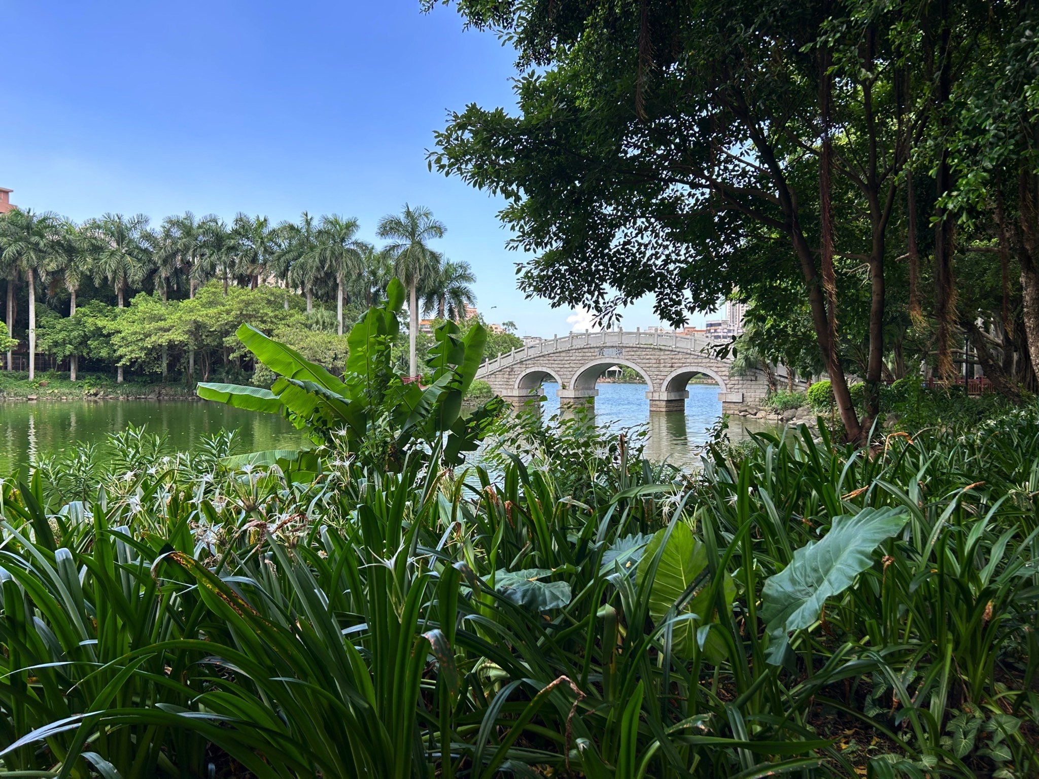霞湖公园