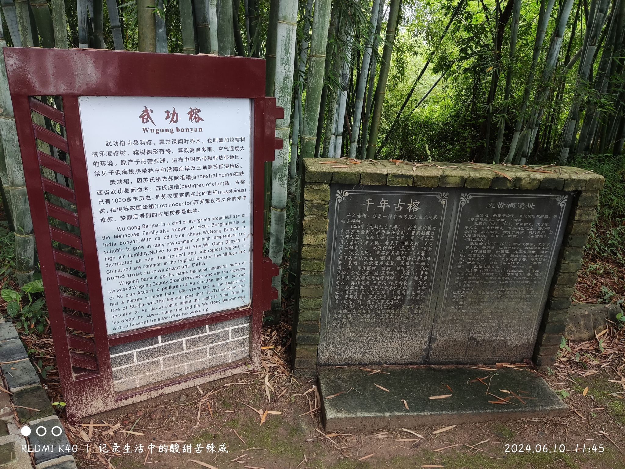 苏家围客家乡村旅游区旅行图片