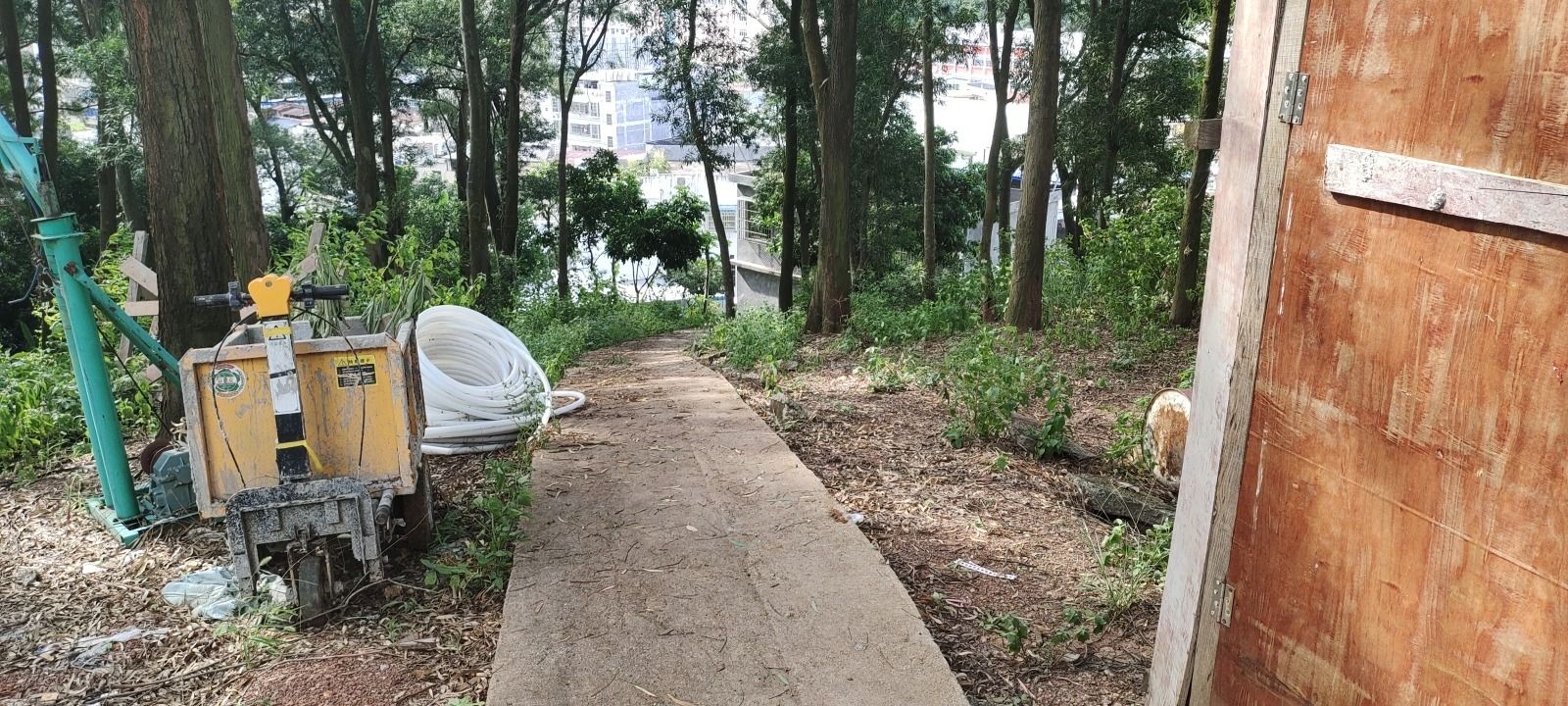 松林公园