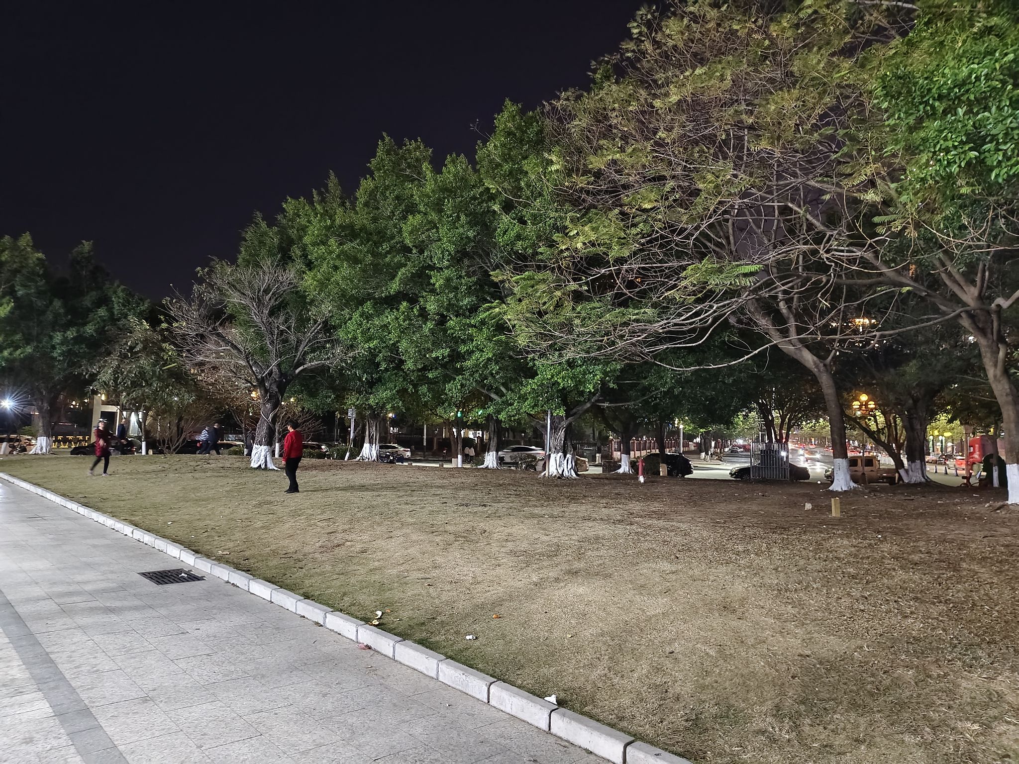 东源公园旅行图片