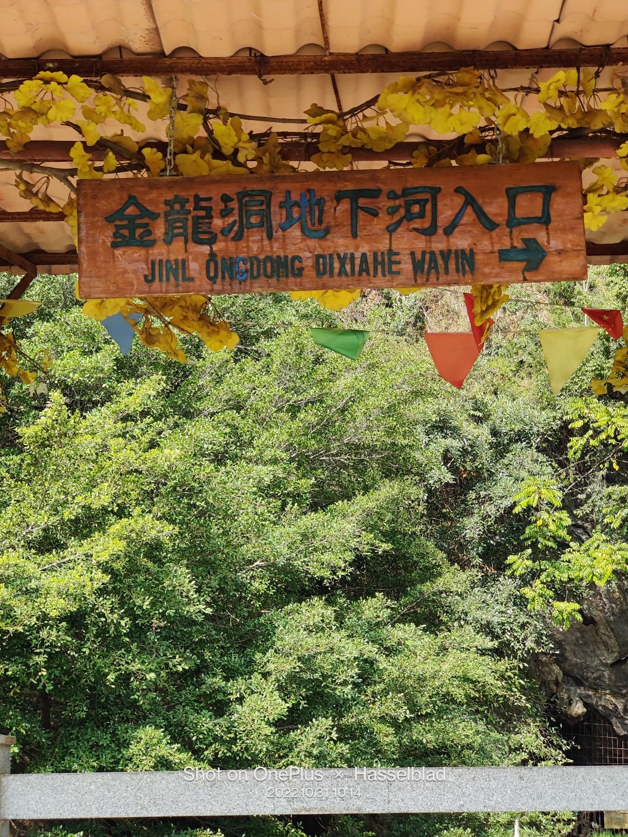 金龙洞地下河旅行图片
