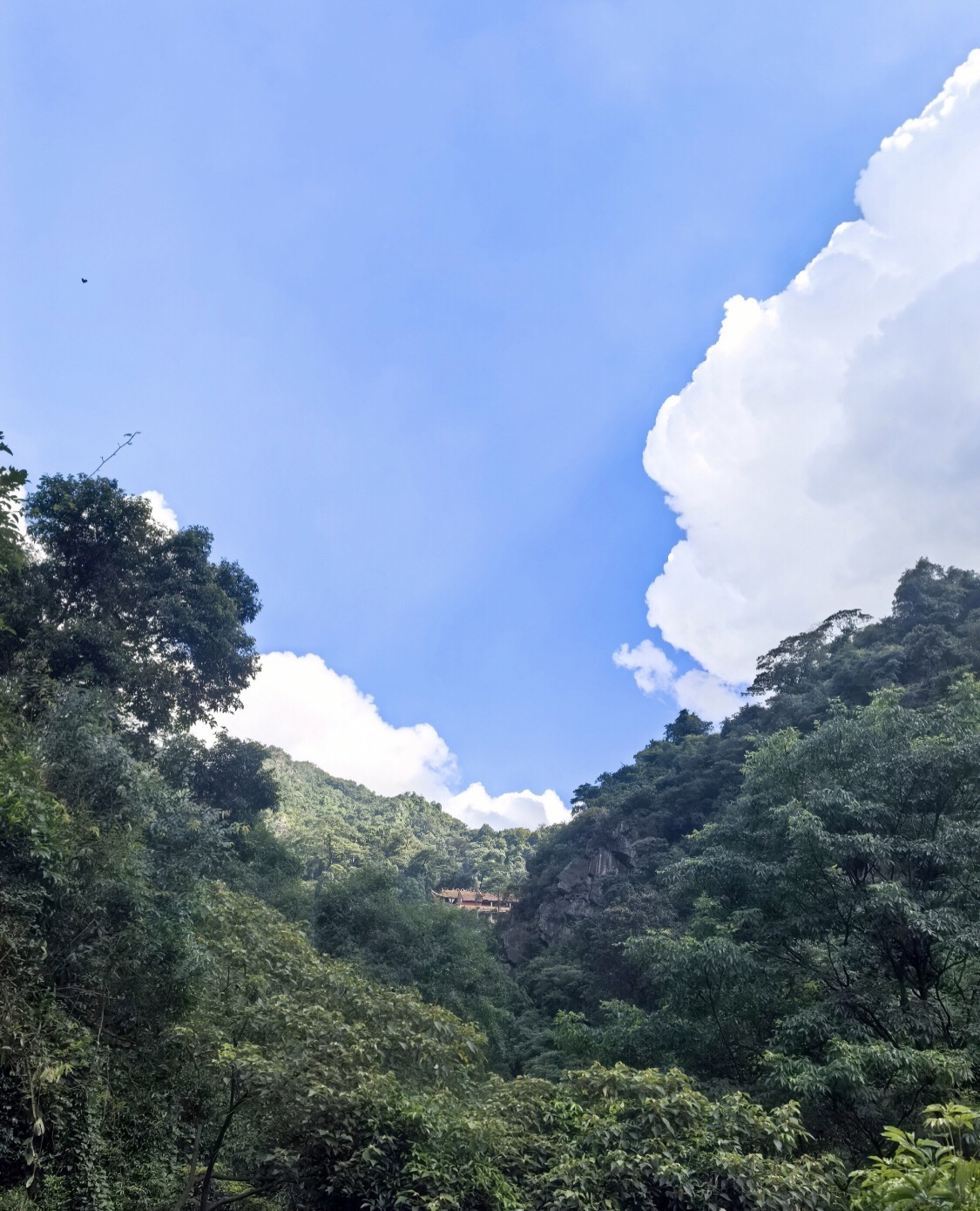 太和古洞旅行图片
