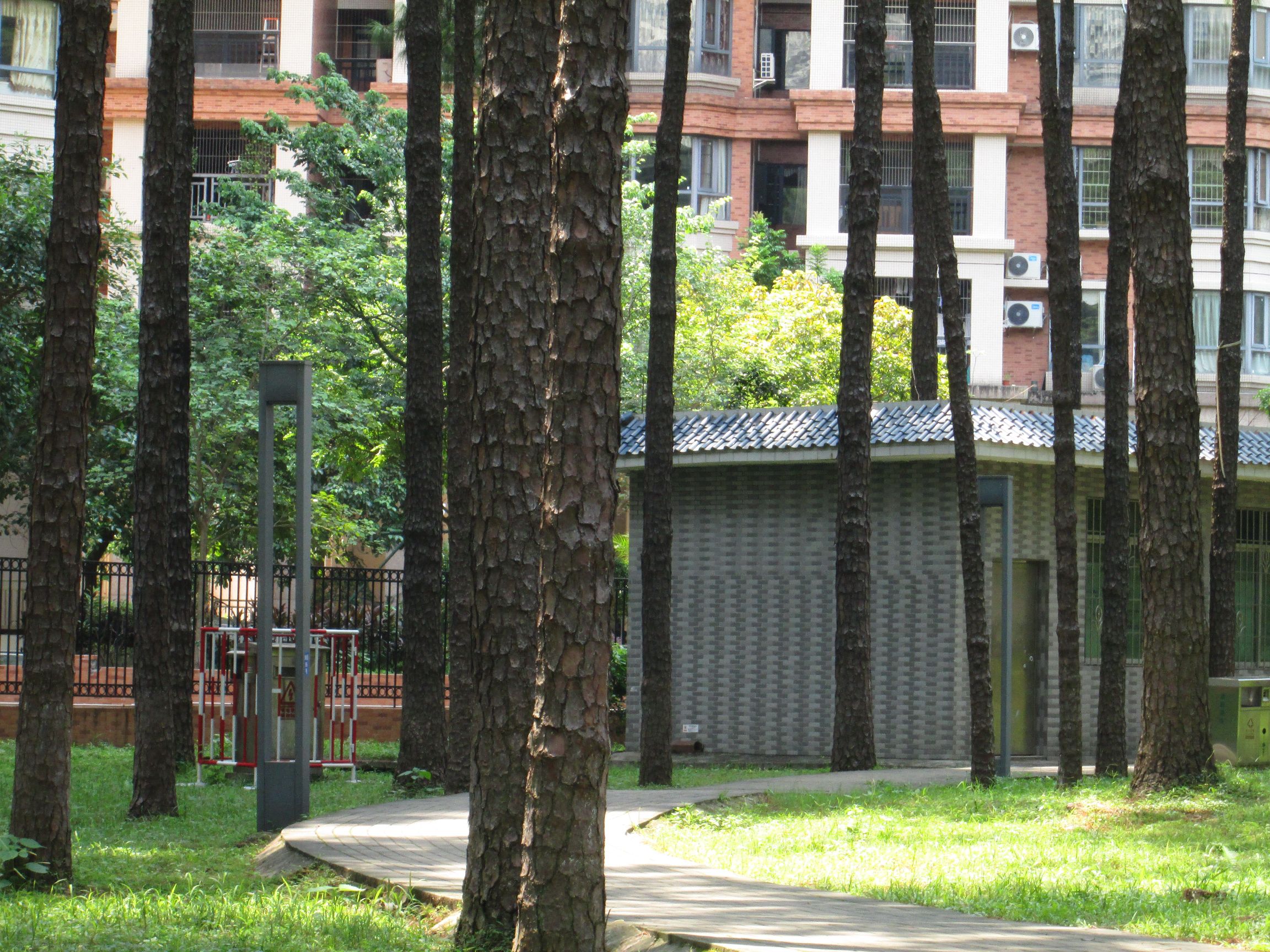 松林公园旅行图片