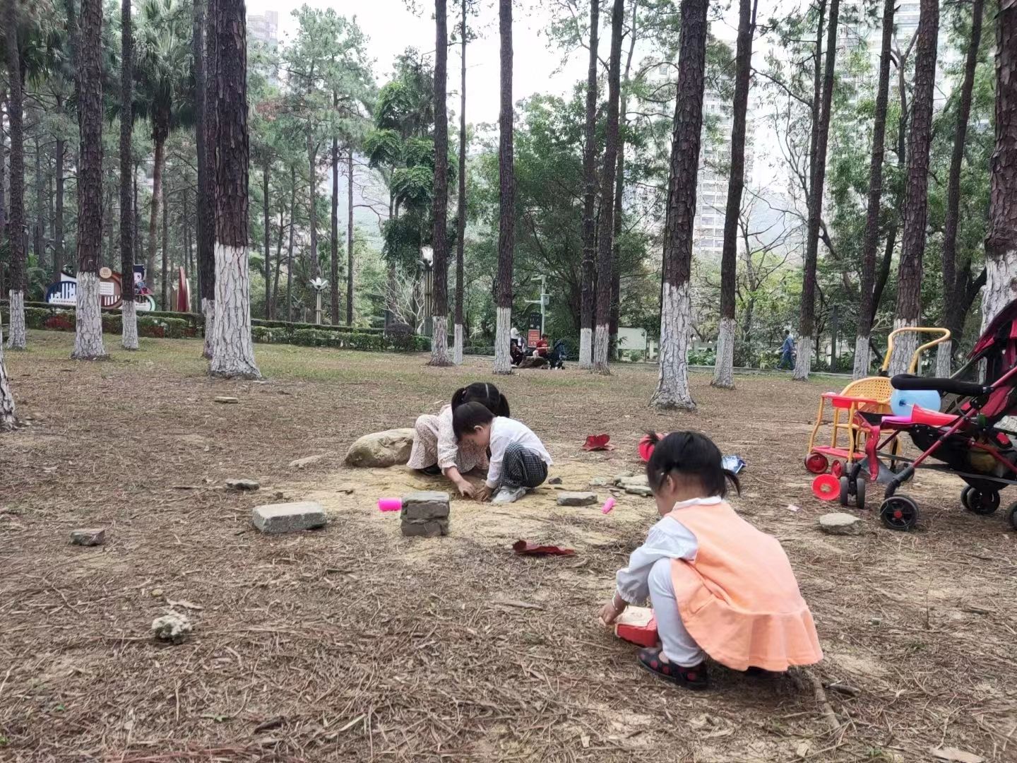 松林公园旅行图片