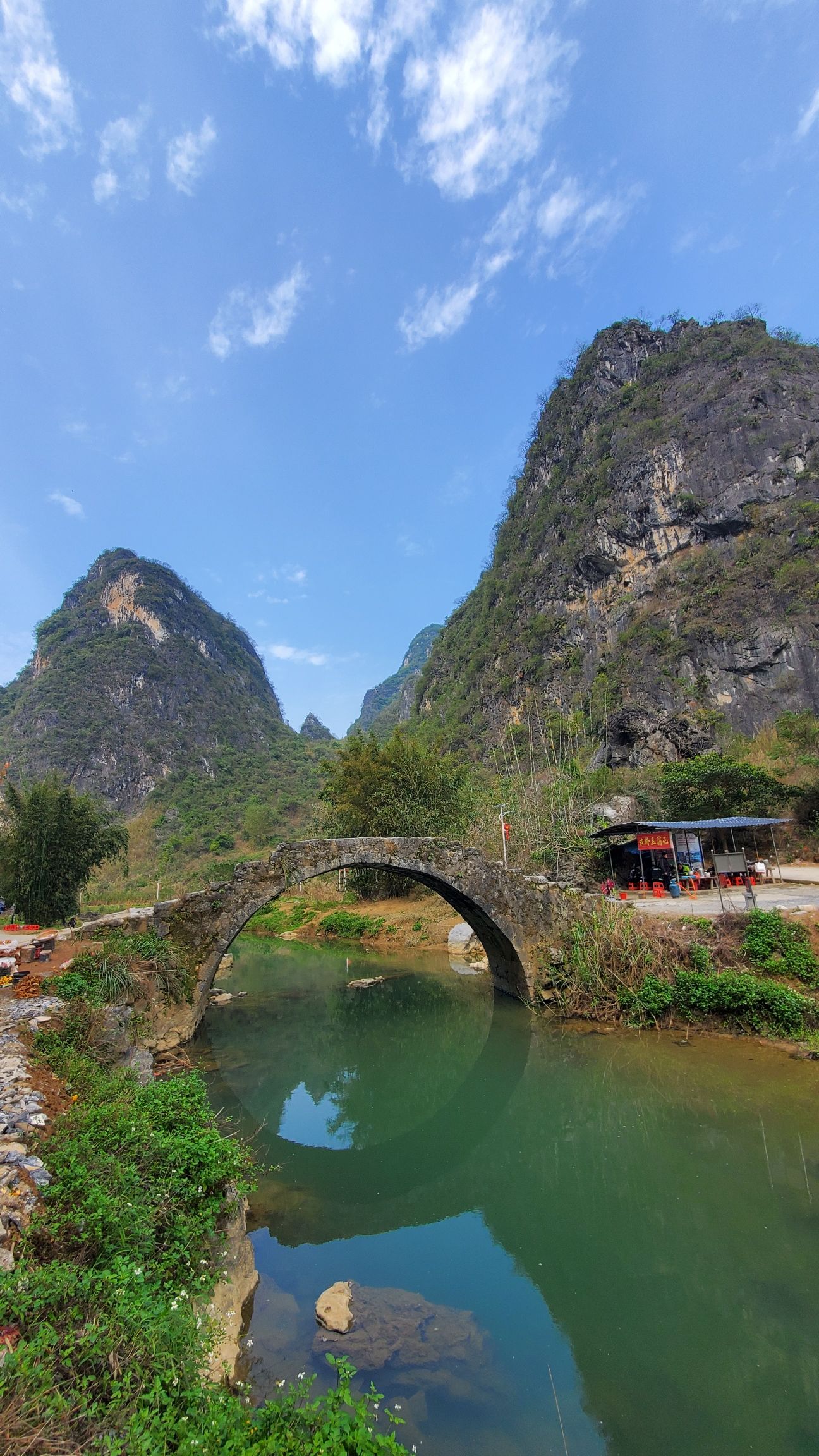 黄花公园旅行图片