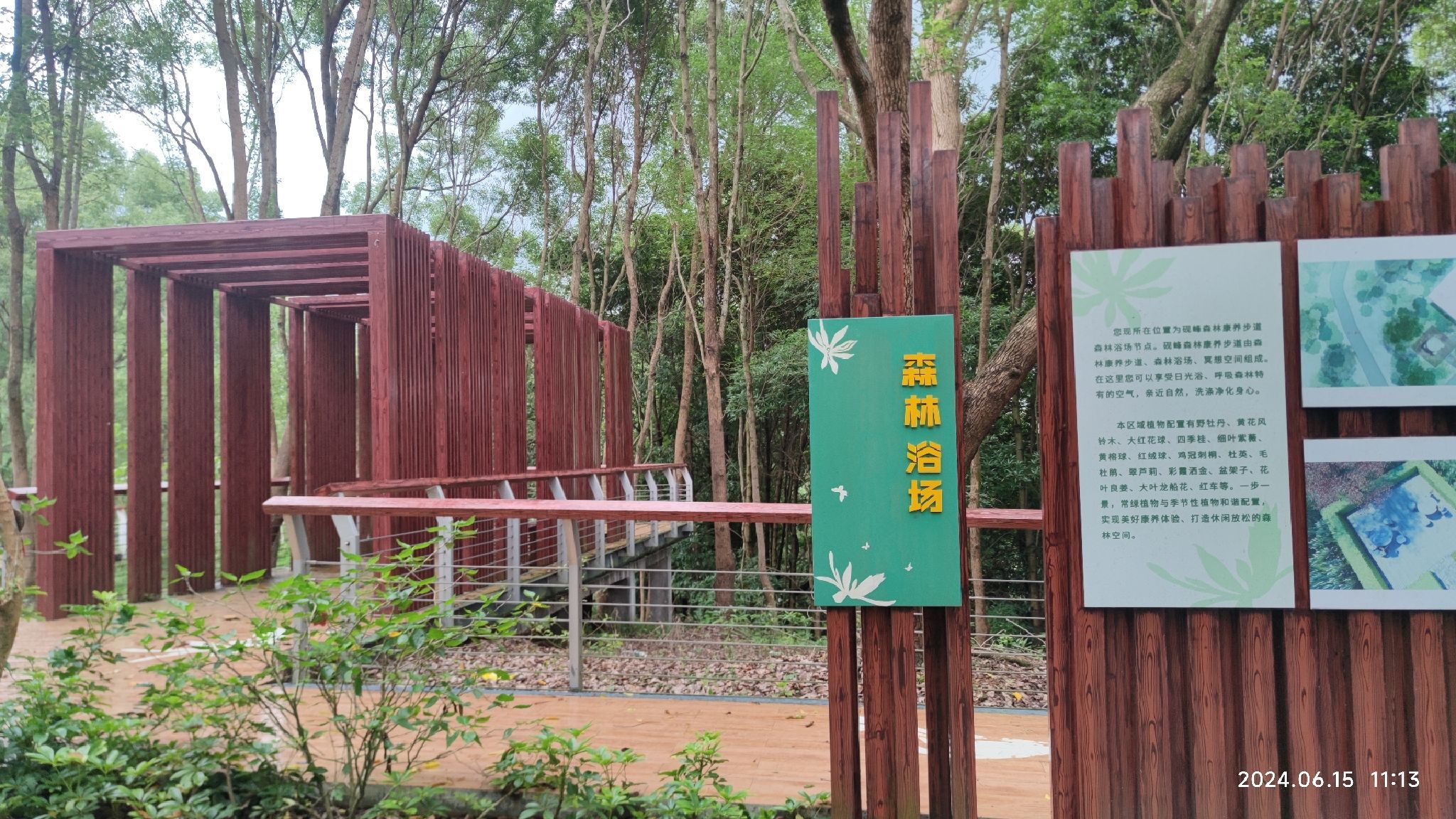 红山森林公园