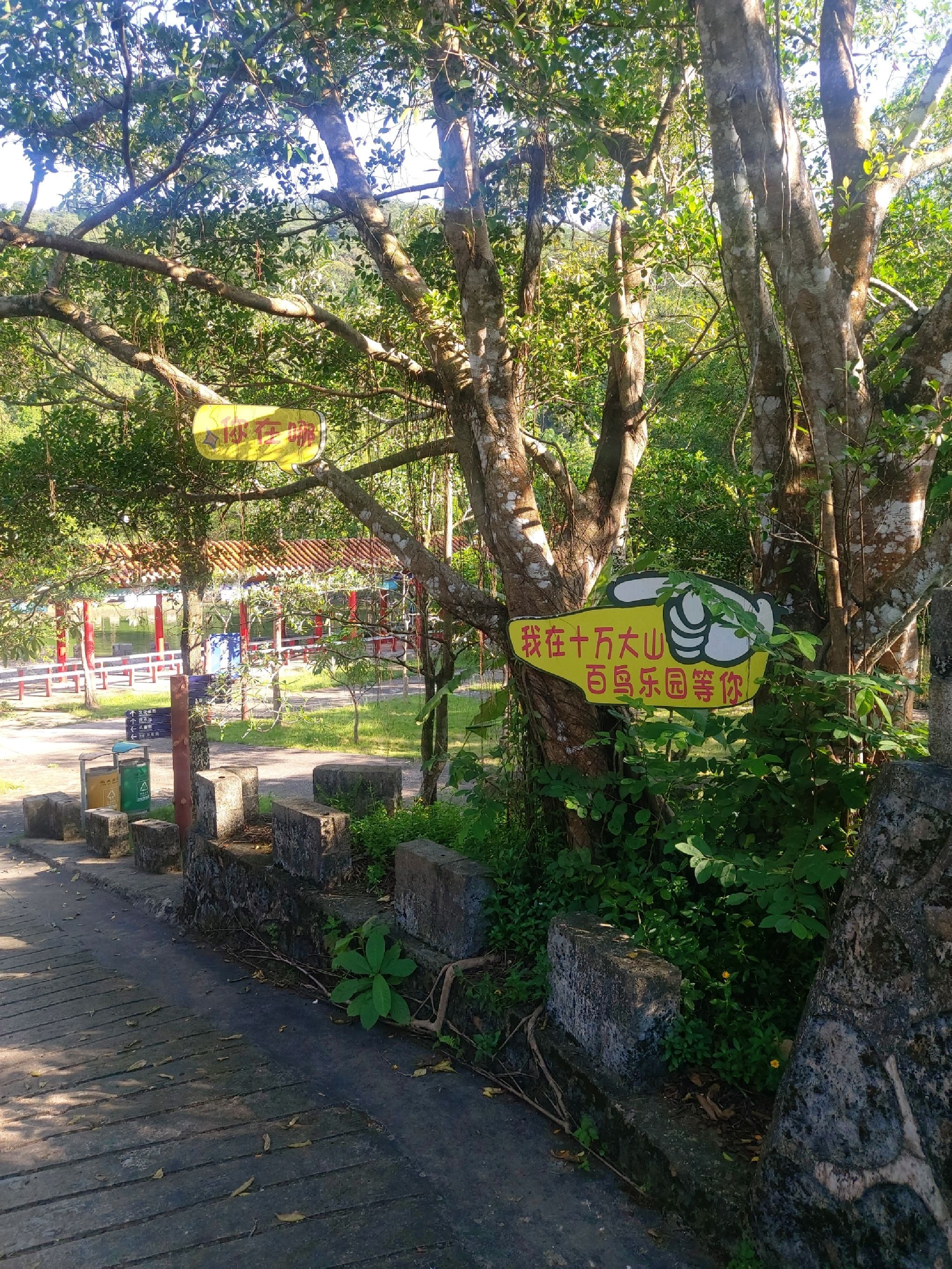 百鸟乐园旅行图片
