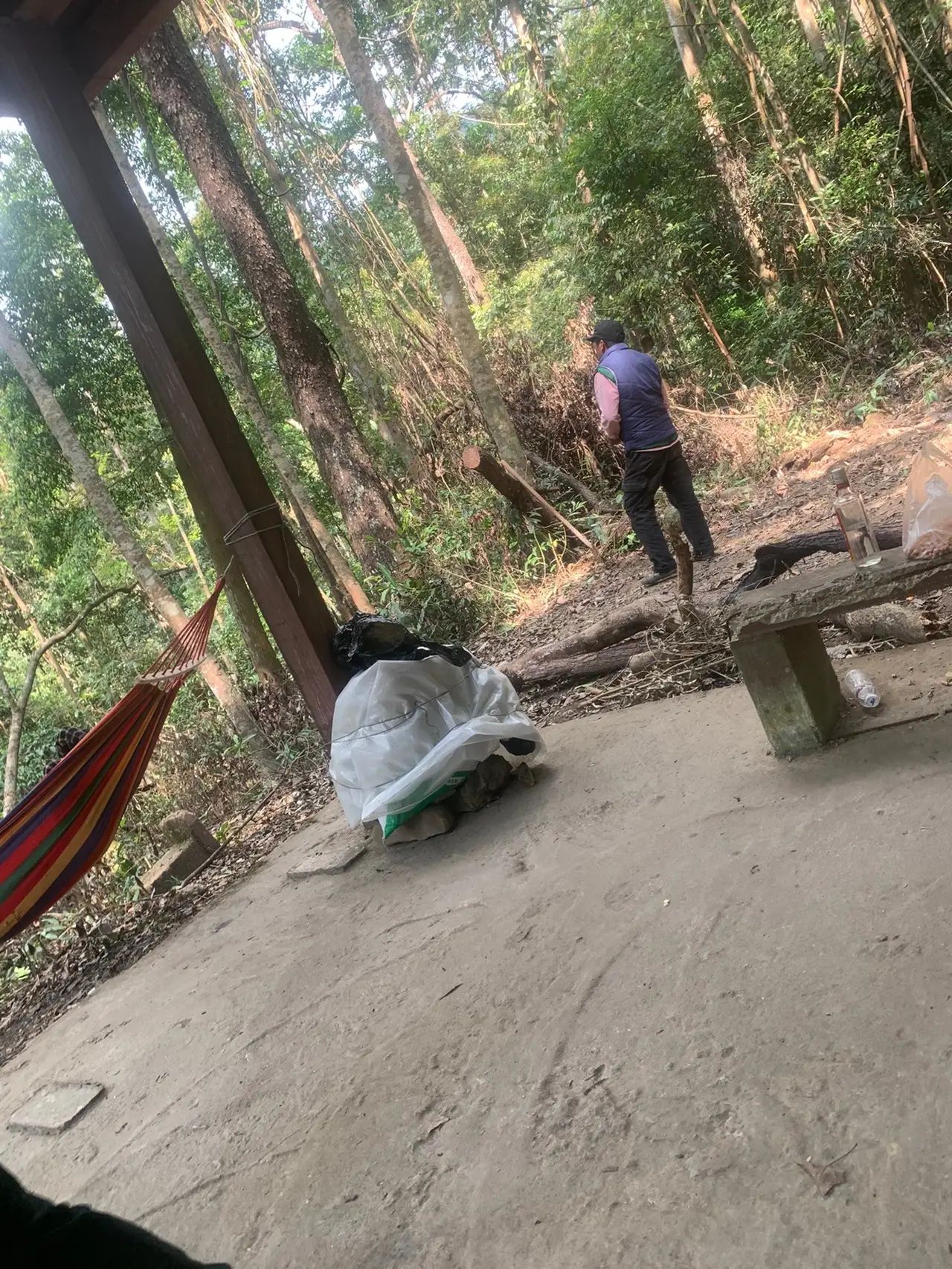 十万大山国家森林公园旅行图片