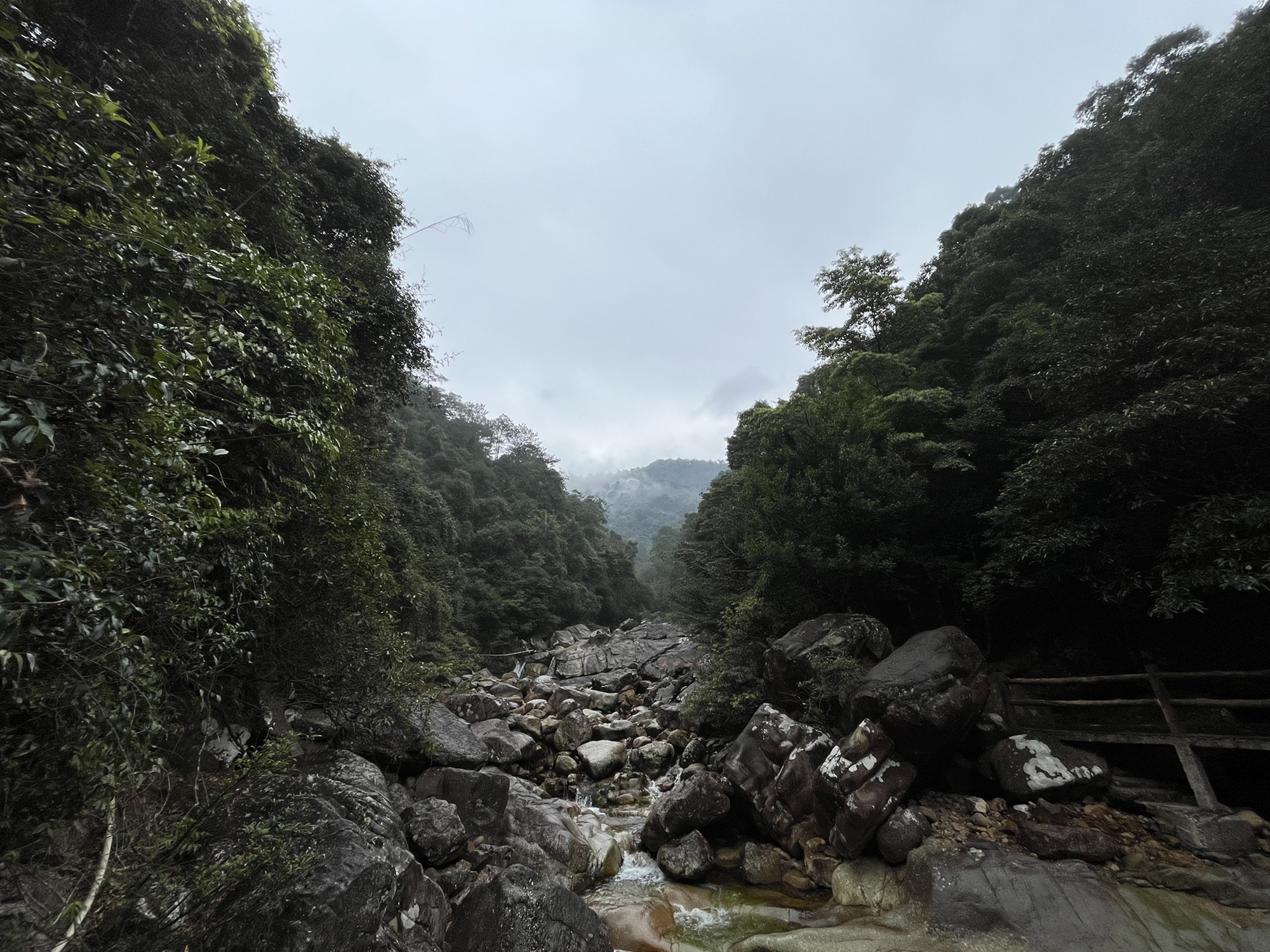 十万大山国家森林公园旅行图片
