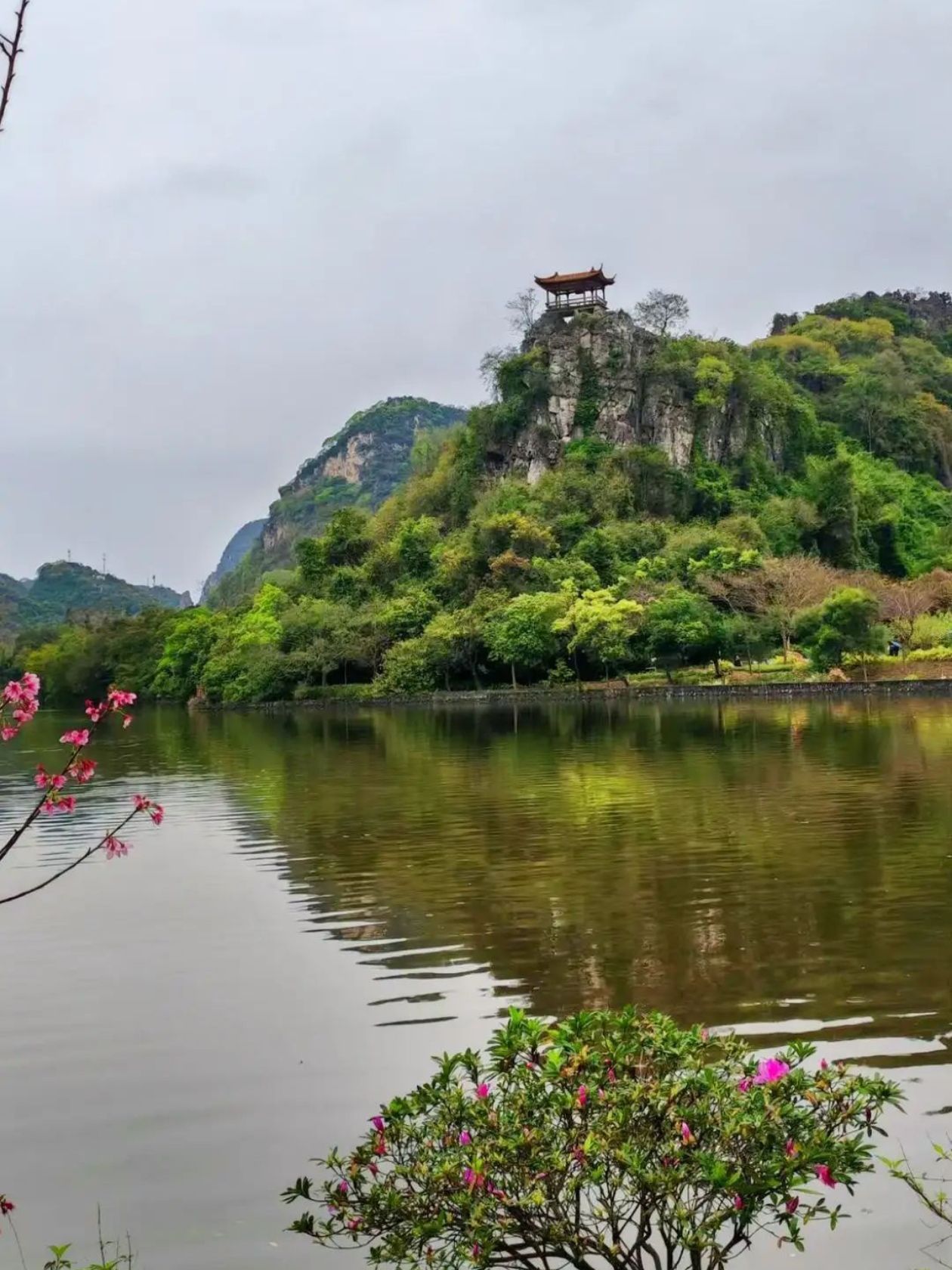 屏峰雨林公园