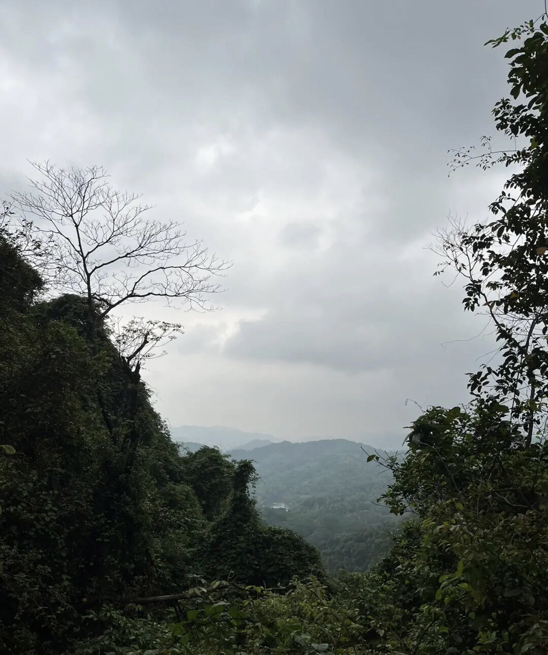 野人谷景区旅行图片