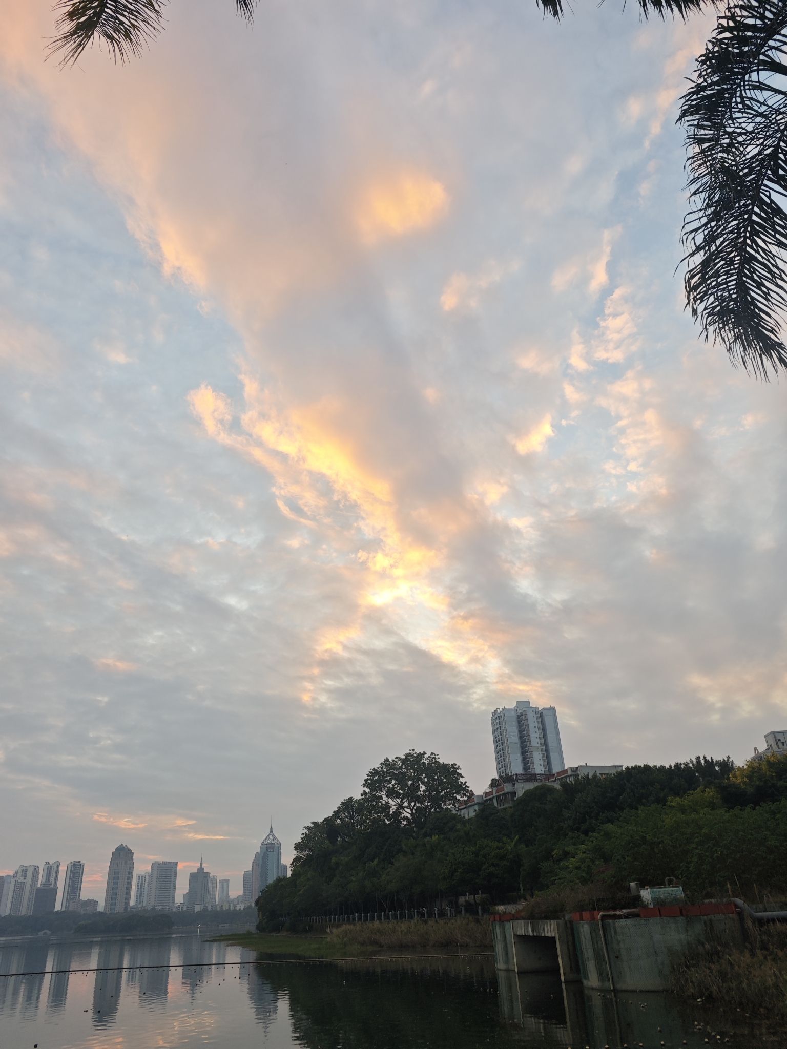 南湖公园旅行图片