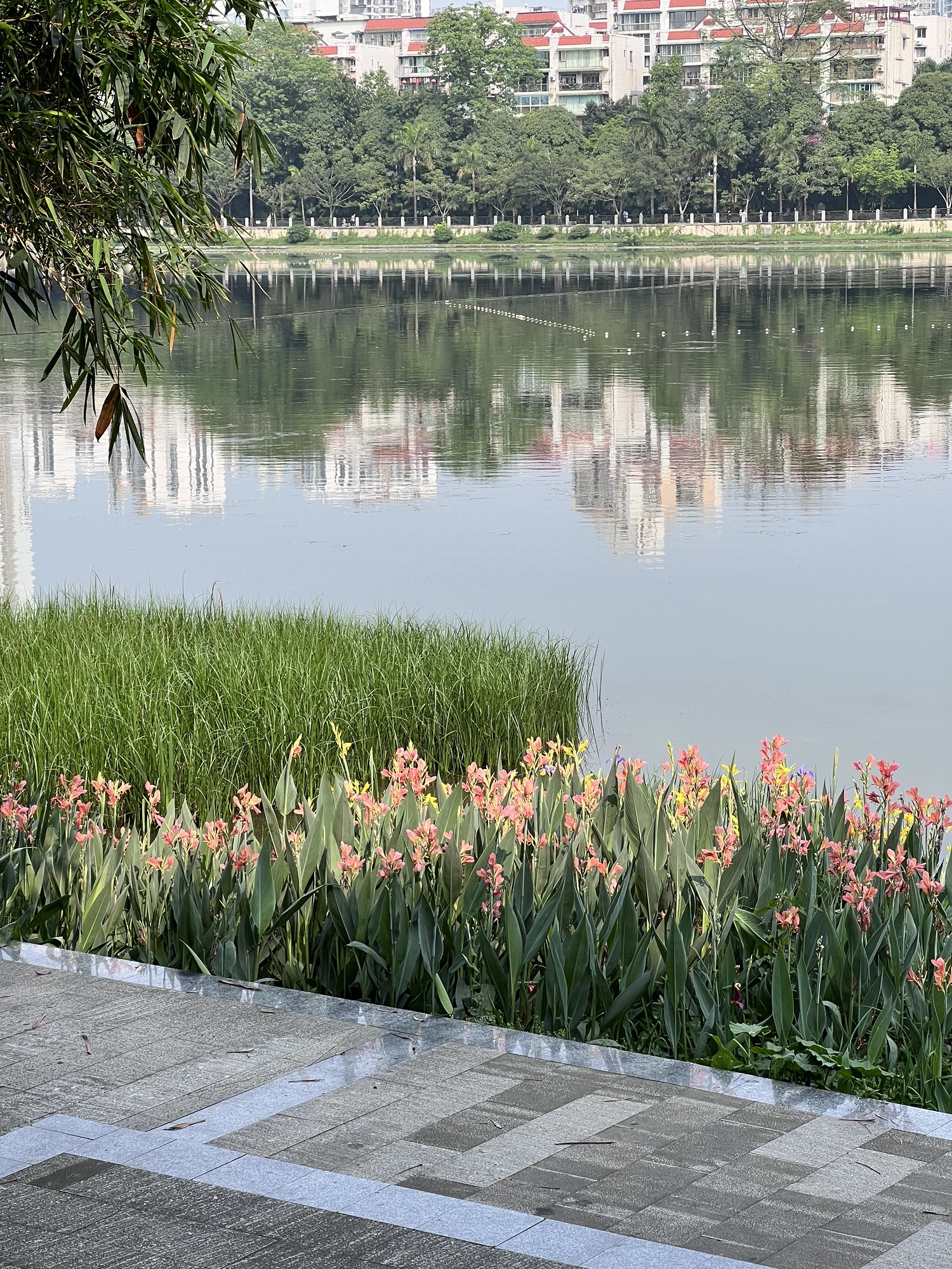 南湖公园旅行图片