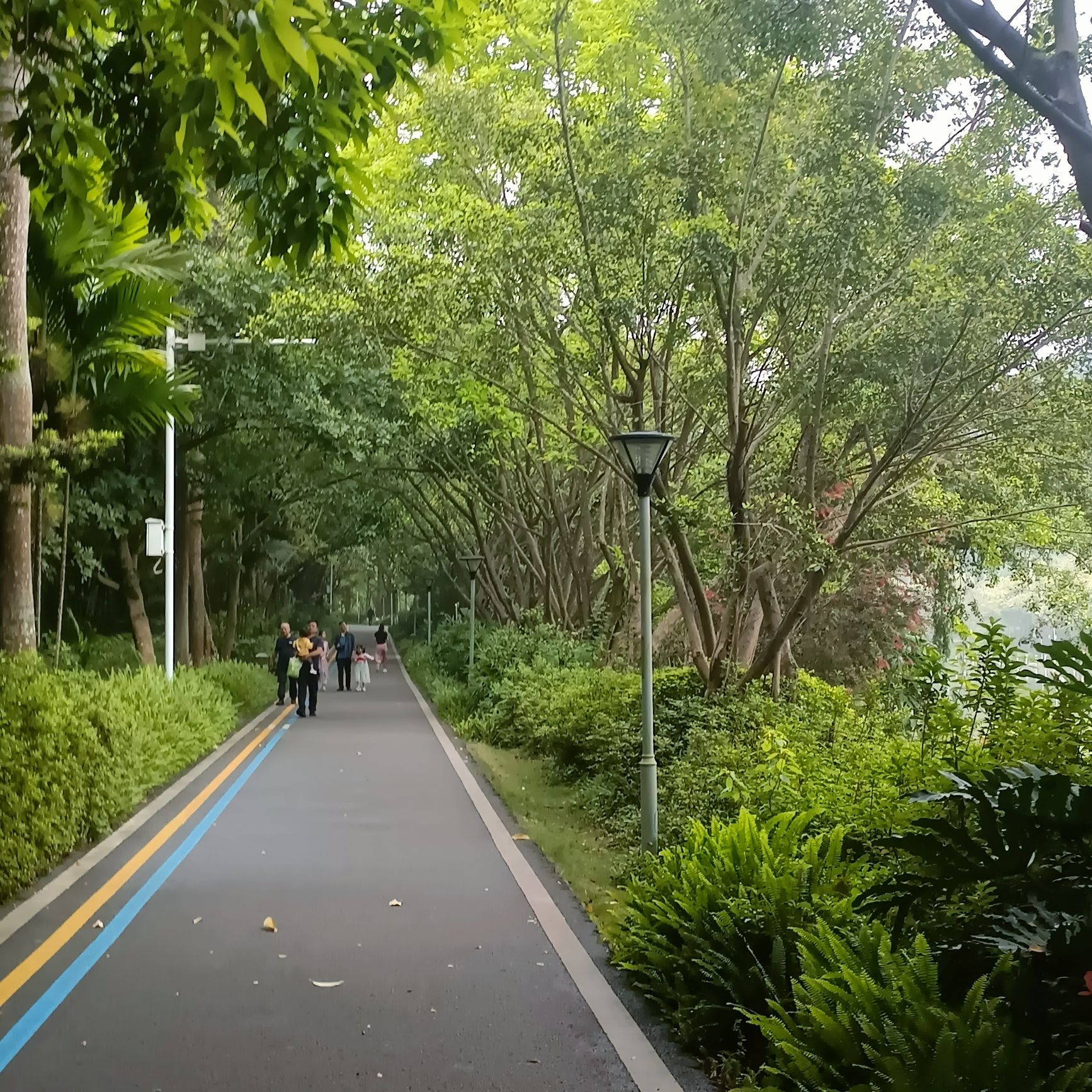 石门公园旅行图片