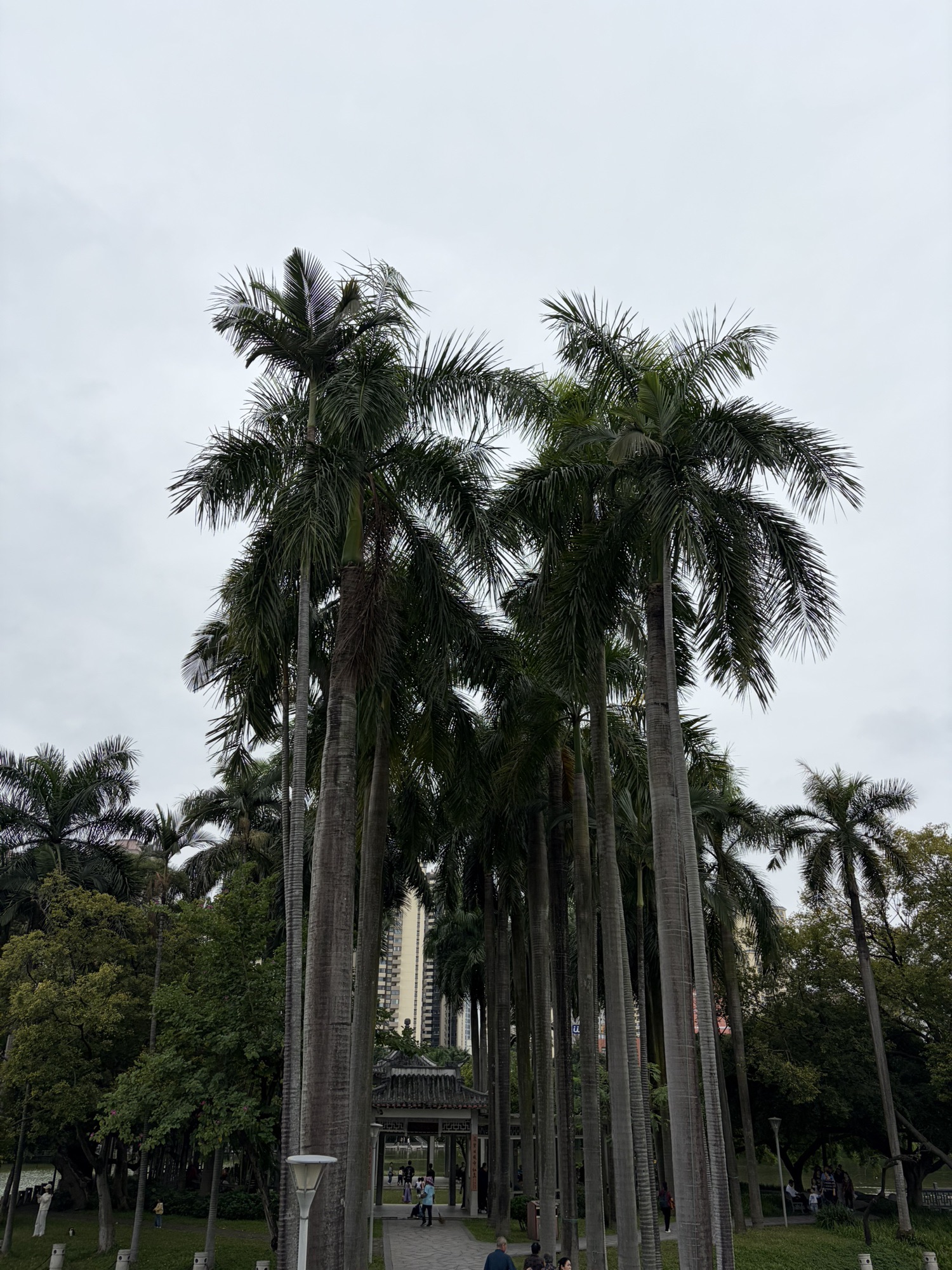 南宁市人民公园旅行图片