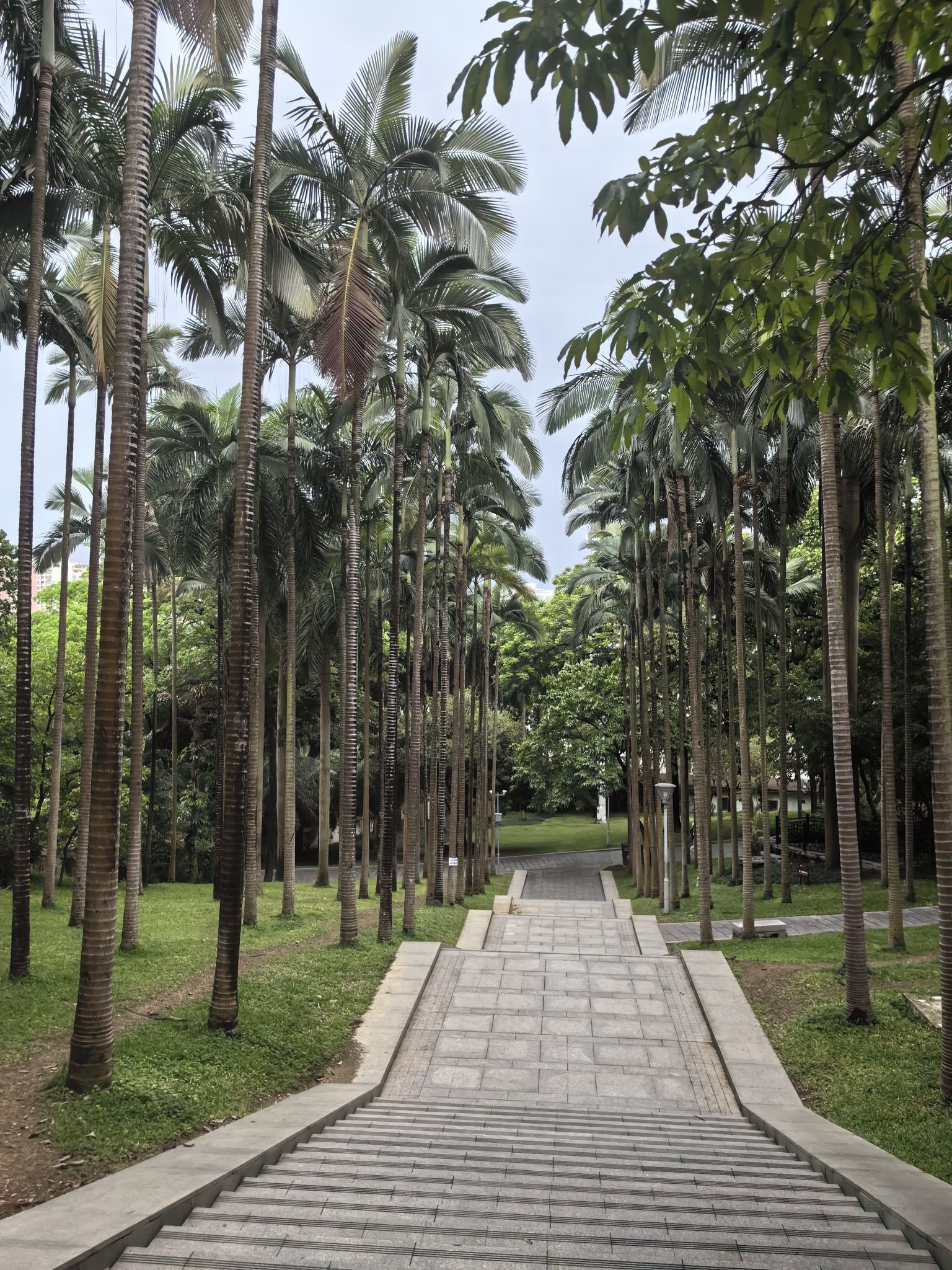 南宁市人民公园旅行图片